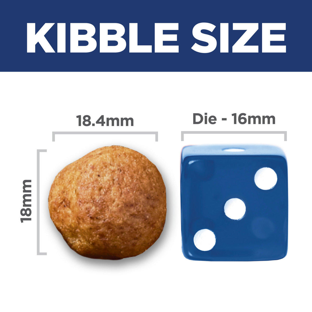 Kibble size comparison: 18.4mm by 18mm Hill's Oral Care Small & Mini kibble beside a 16mm dice