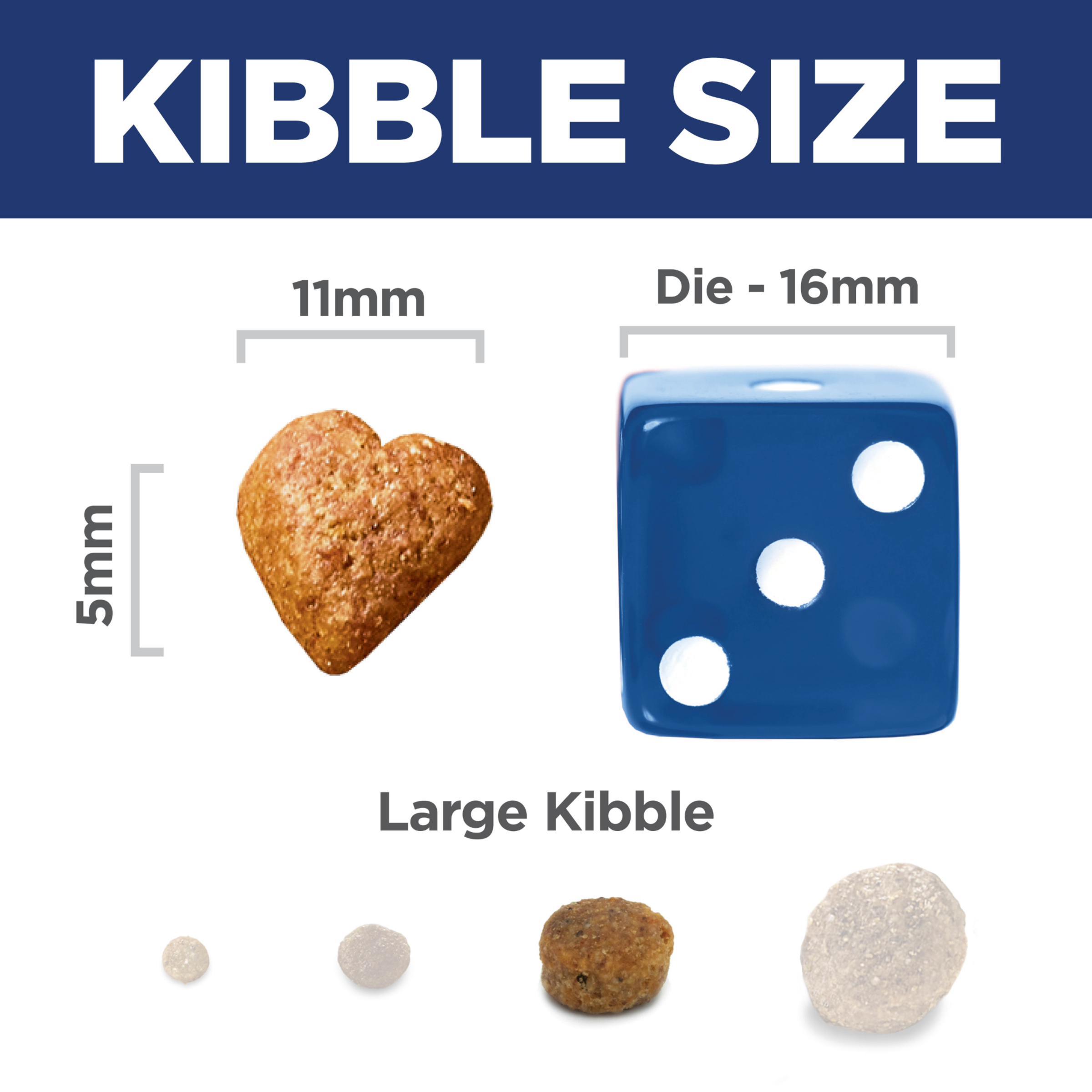 Kibble size comparison: 11mm by 5mm Hill's Perfect Weight and Joint Support kibble beside a dice