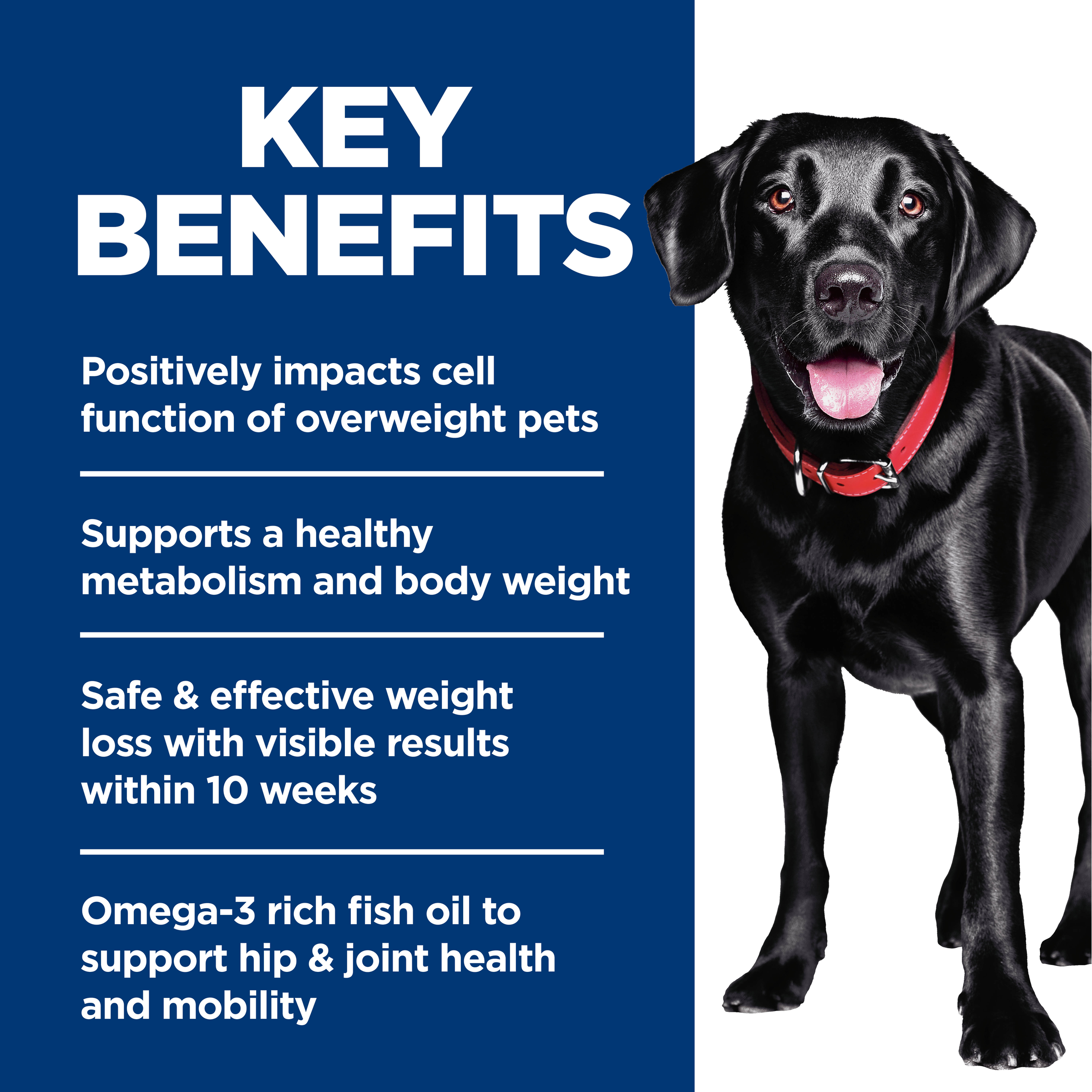 Key benefits panel: healthy metabolism, weight loss in 10 weeks and omega-3 for hip and joint health