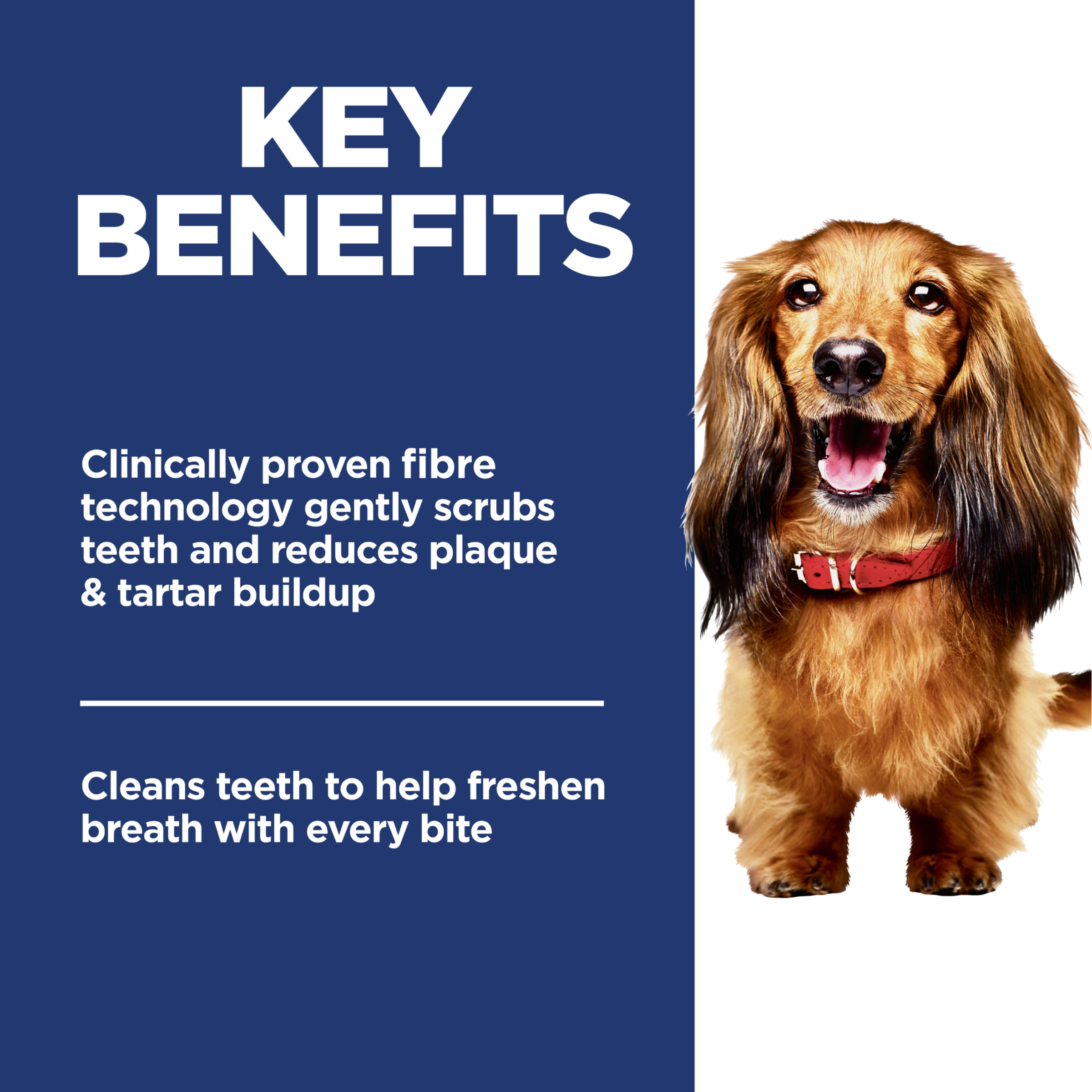 Key benefits panel: fibre technology scrubs teeth, reduces plaque and tartar and freshens breath