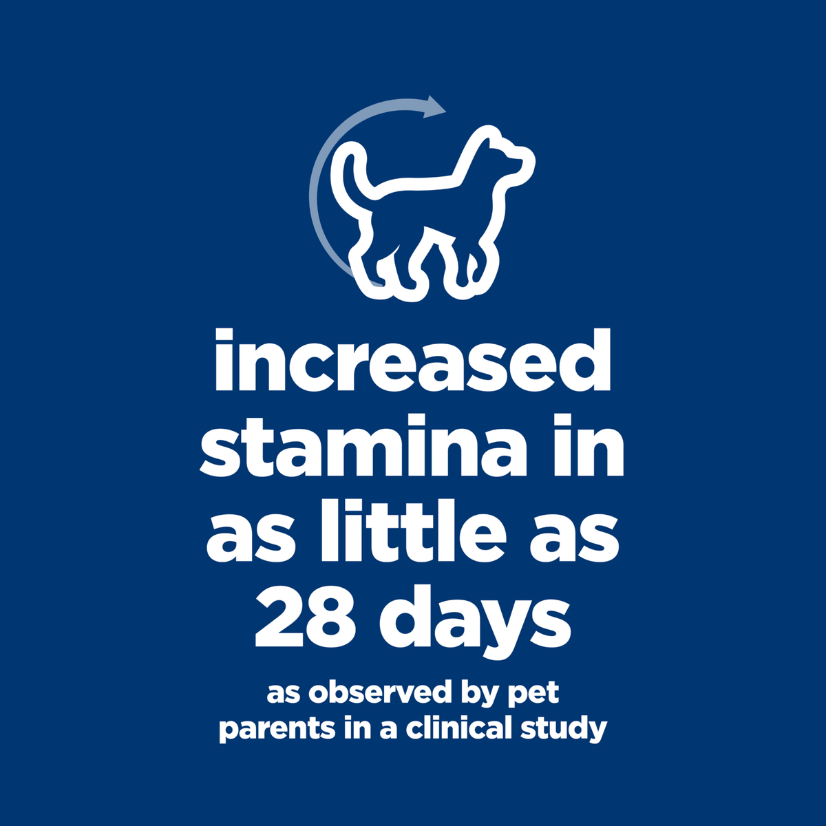Increased stamina in as little as 28 days, Hill's Senior Vitality graphic citing a clinical study