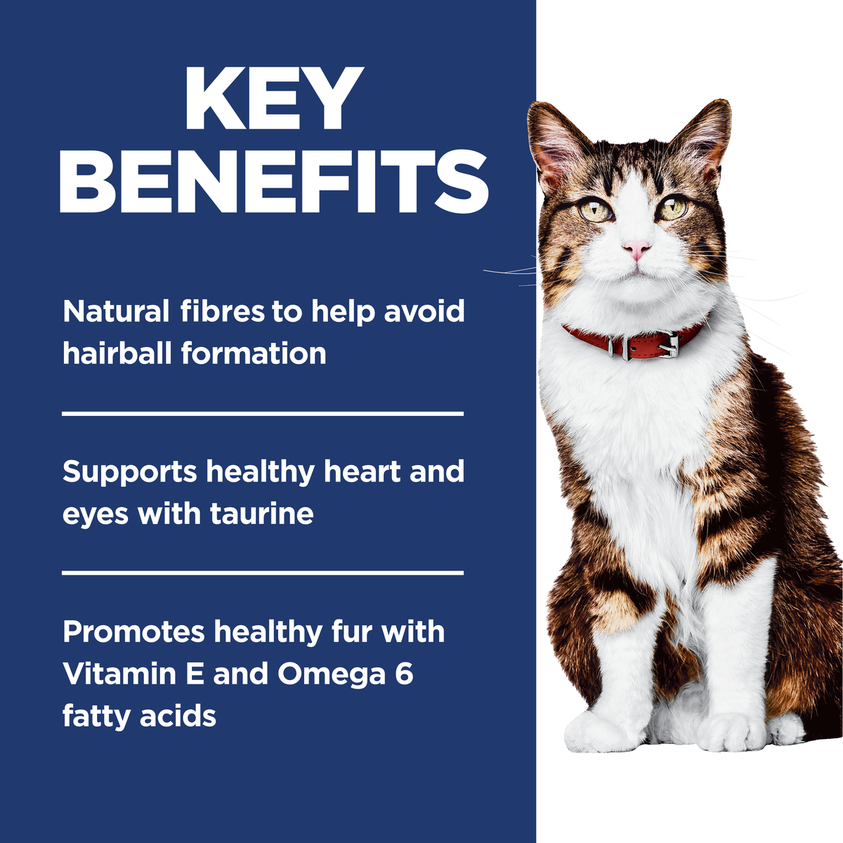 Key benefits panel: natural fibres to avoid hairballs, taurine for heart and eyes, healthy fur