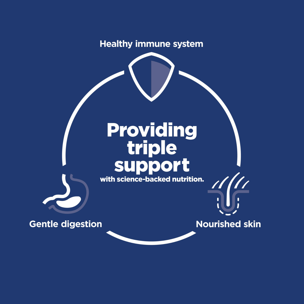 Providing triple support diagram: healthy immune system, gentle digestion and nourished skin
