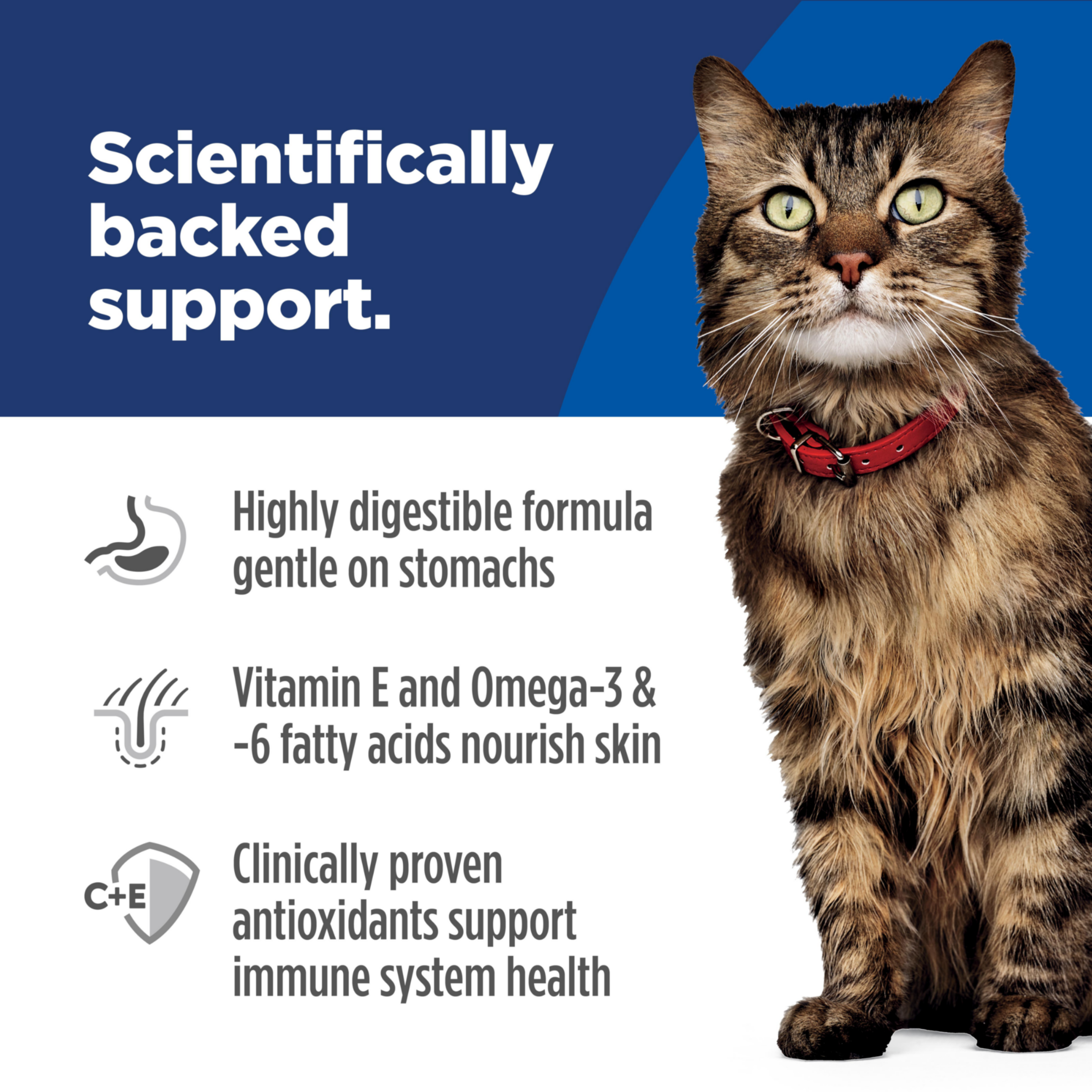 Scientifically backed support: digestible formula, vitamin E and omega fatty acids, antioxidants