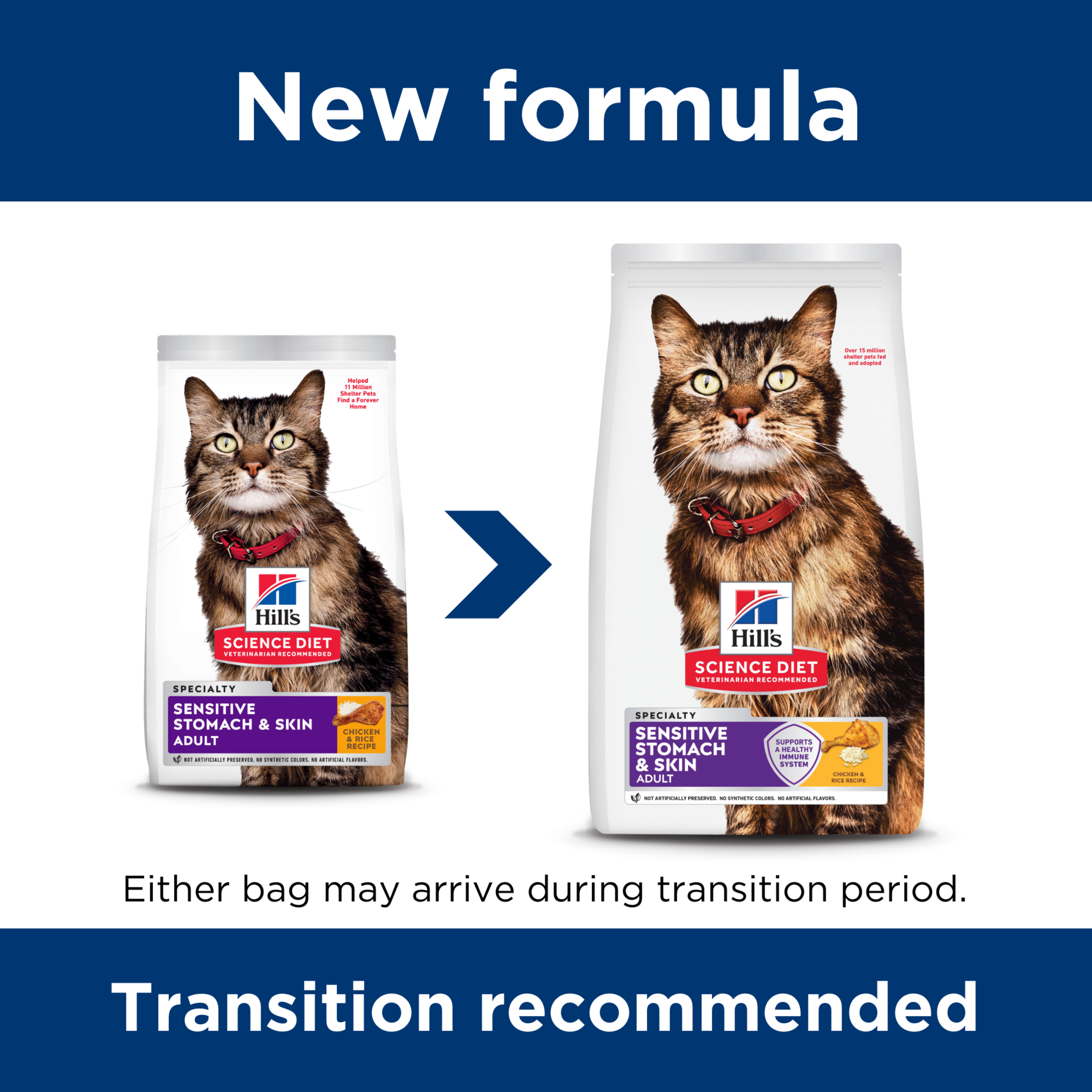 Hill's Science Diet Dry Cat Food Adult Sensitive Stomach & Skin product detail 1