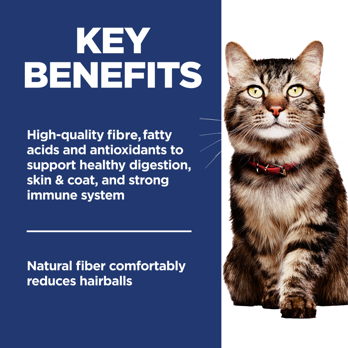 Key benefits panel: fibre, fatty acids and antioxidants for digestion, skin, coat and fewer hairballs