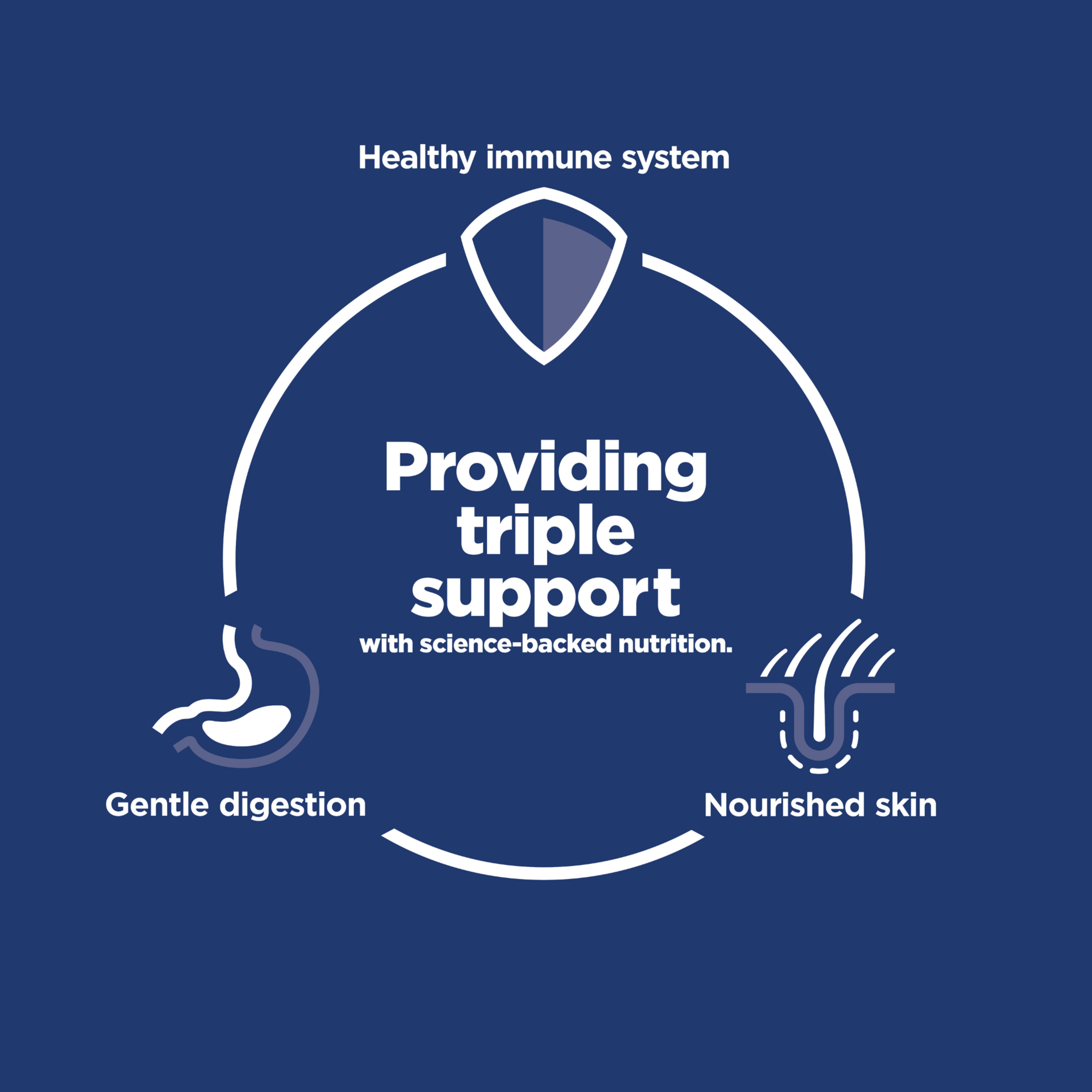 Providing triple support diagram: healthy immune system, gentle digestion and nourished skin