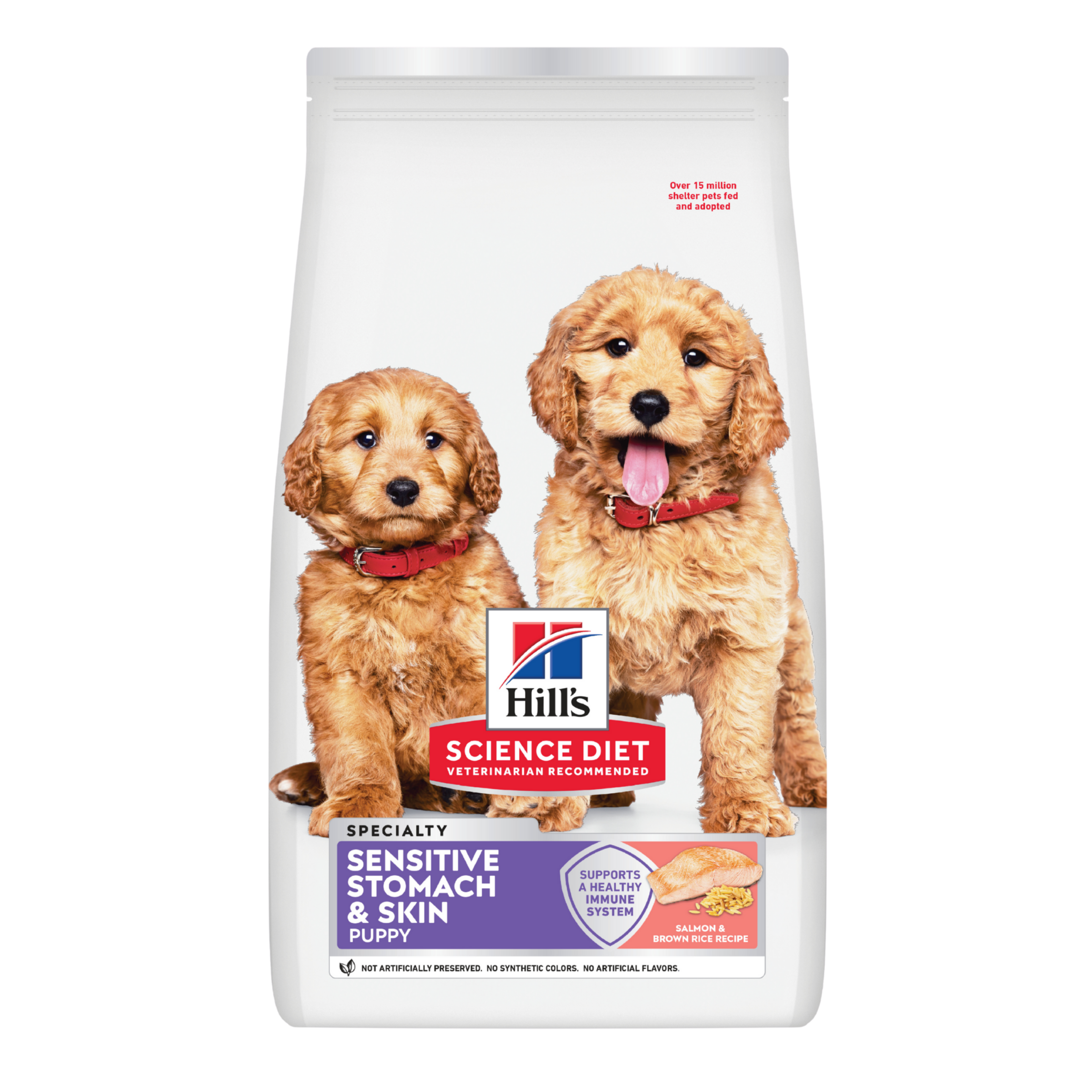 Hill's Science Diet Puppy Sensitive Stomach & Skin Salmon & Brown Rice Dry Dog Food front of pack