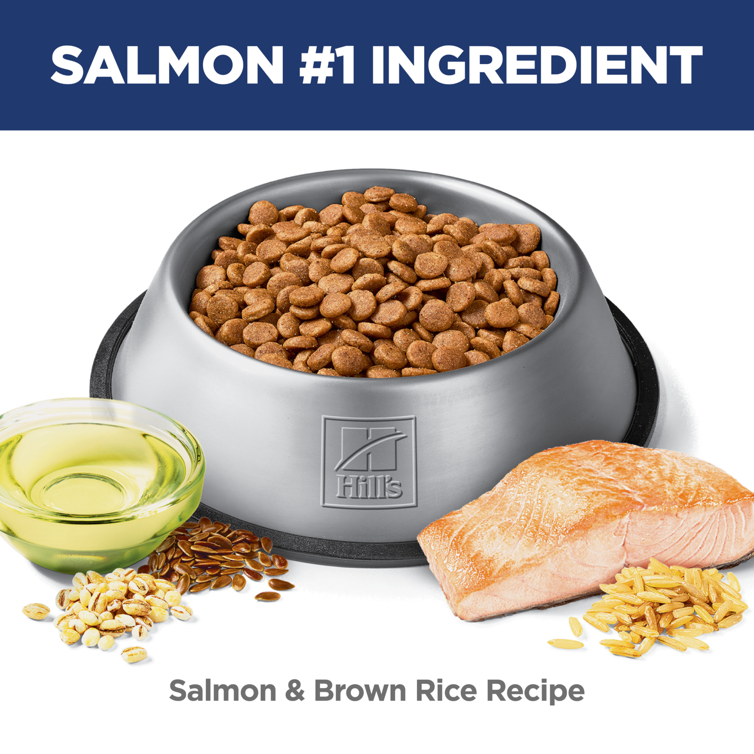 Salmon is the number one ingredient: bowl of Hill's Puppy salmon and brown rice dog kibble