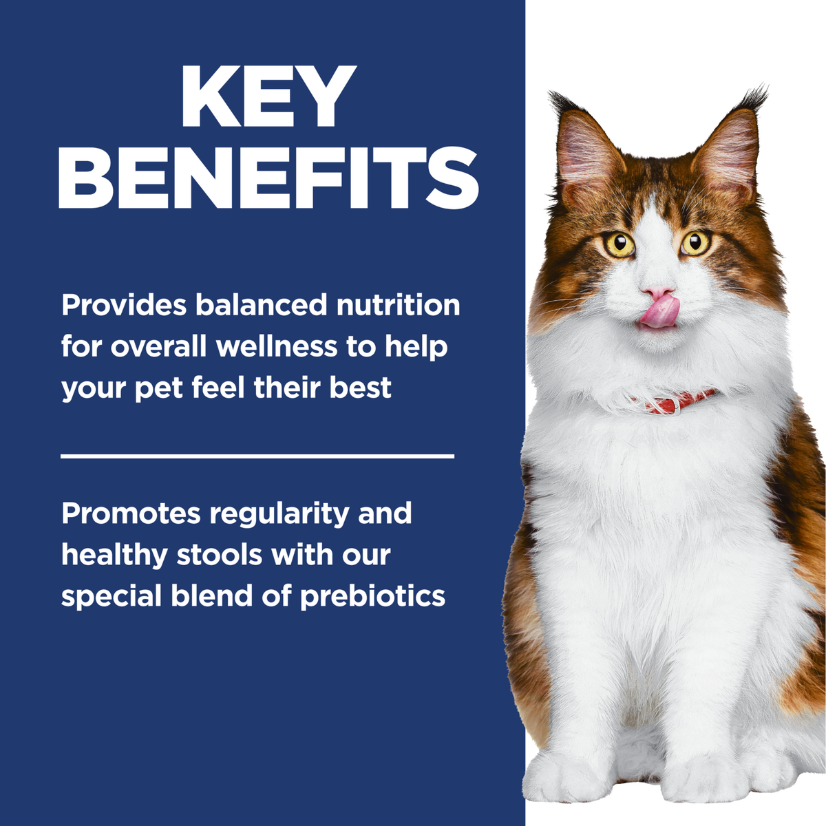 Key benefits panel: balanced nutrition and a prebiotic blend for regularity and healthy stools
