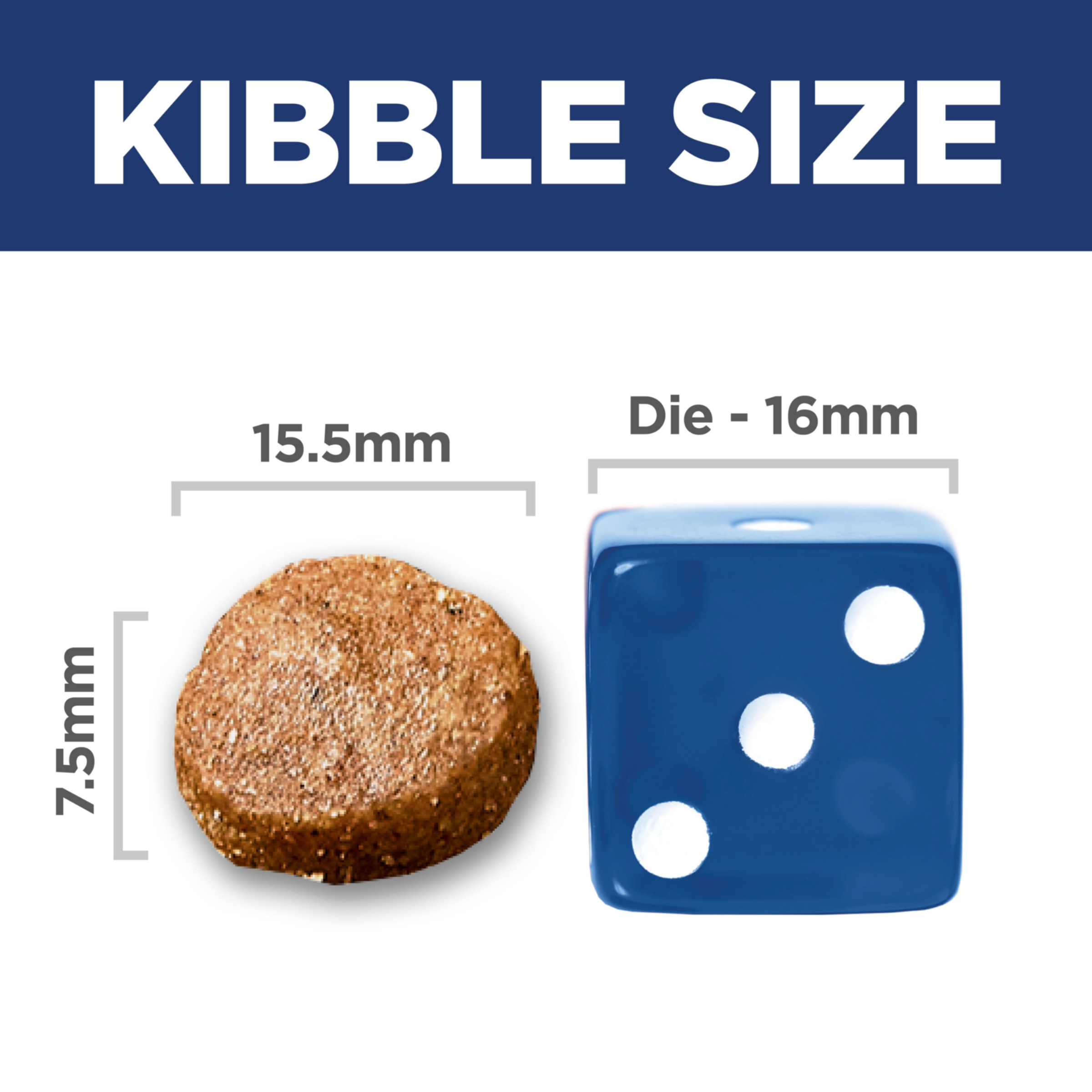 Kibble size comparison: 15.5mm by 7.5mm Hill's Sensitive Stomach and Skin Large Breed kibble beside a dice