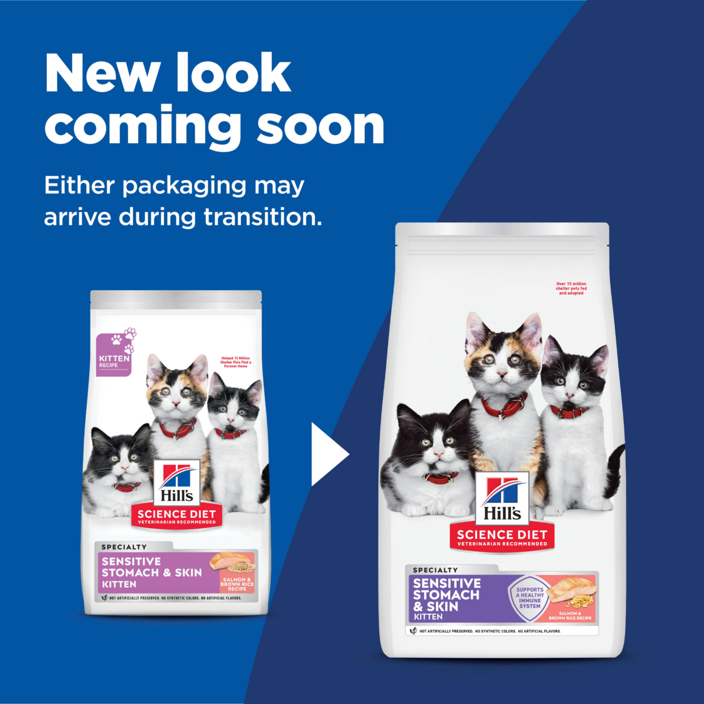 Hill's Science Diet Kitten Sensitive Stomach & Skin Salmon & Brown Rice Dry Cat Food product detail 1