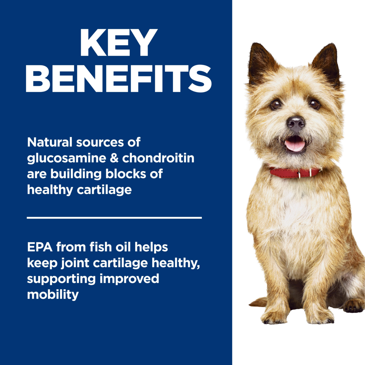 Key benefits panel: glucosamine, chondroitin and EPA from fish oil for joint cartilage and mobility