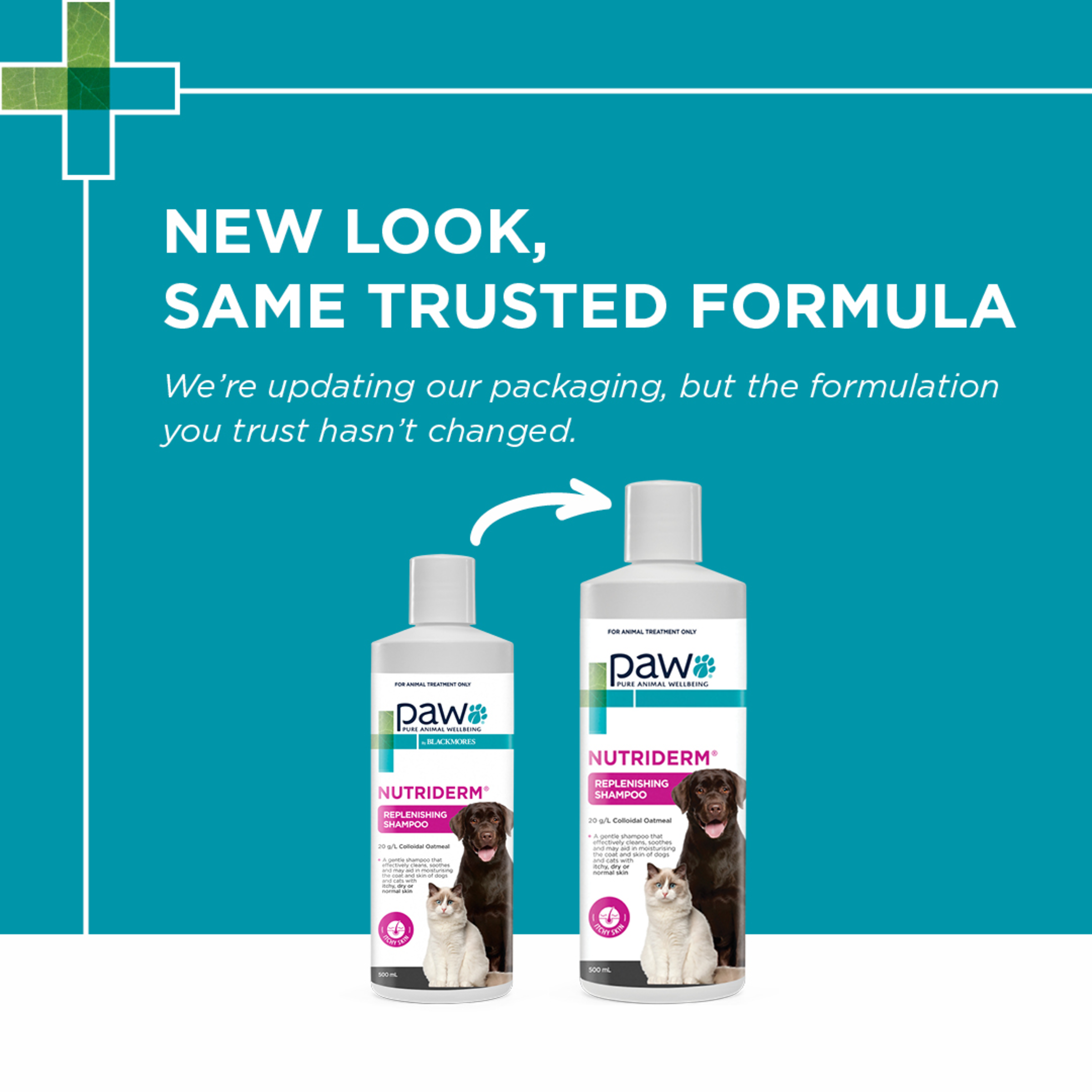 PAW by Blackmores NutriDerm Replenishing Shampoo product detail 1