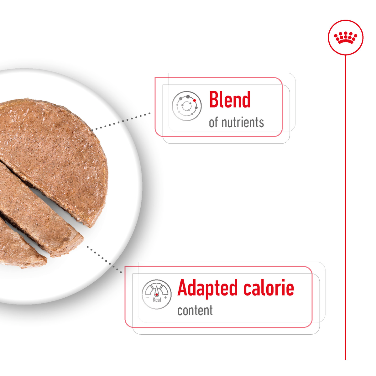 Close-up of Royal Canin Mini Ageing 8+ loaf, nutrient blend with adapted calorie content
