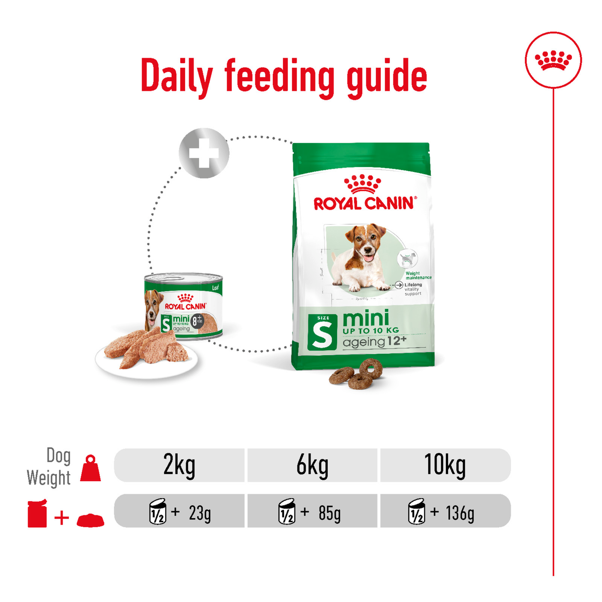 Royal Canin Mini Ageing 8+ daily feeding guide for 2kg, 6kg and 10kg dogs