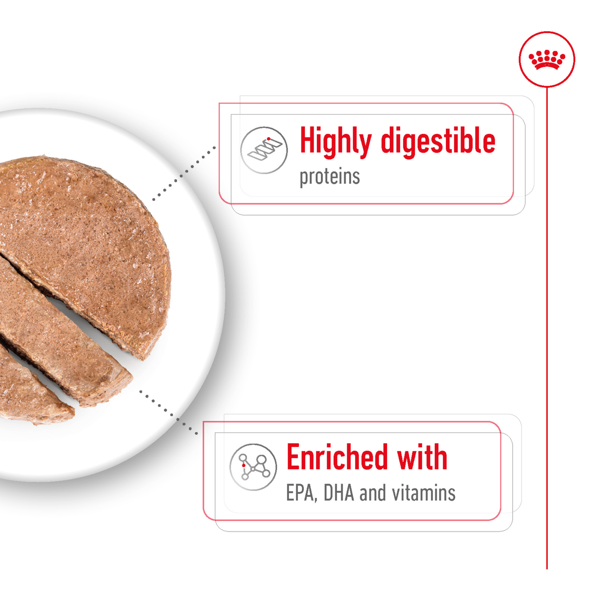 Close-up of Royal Canin Maxi Ageing 5+ loaf, enriched with EPA, DHA and vitamins