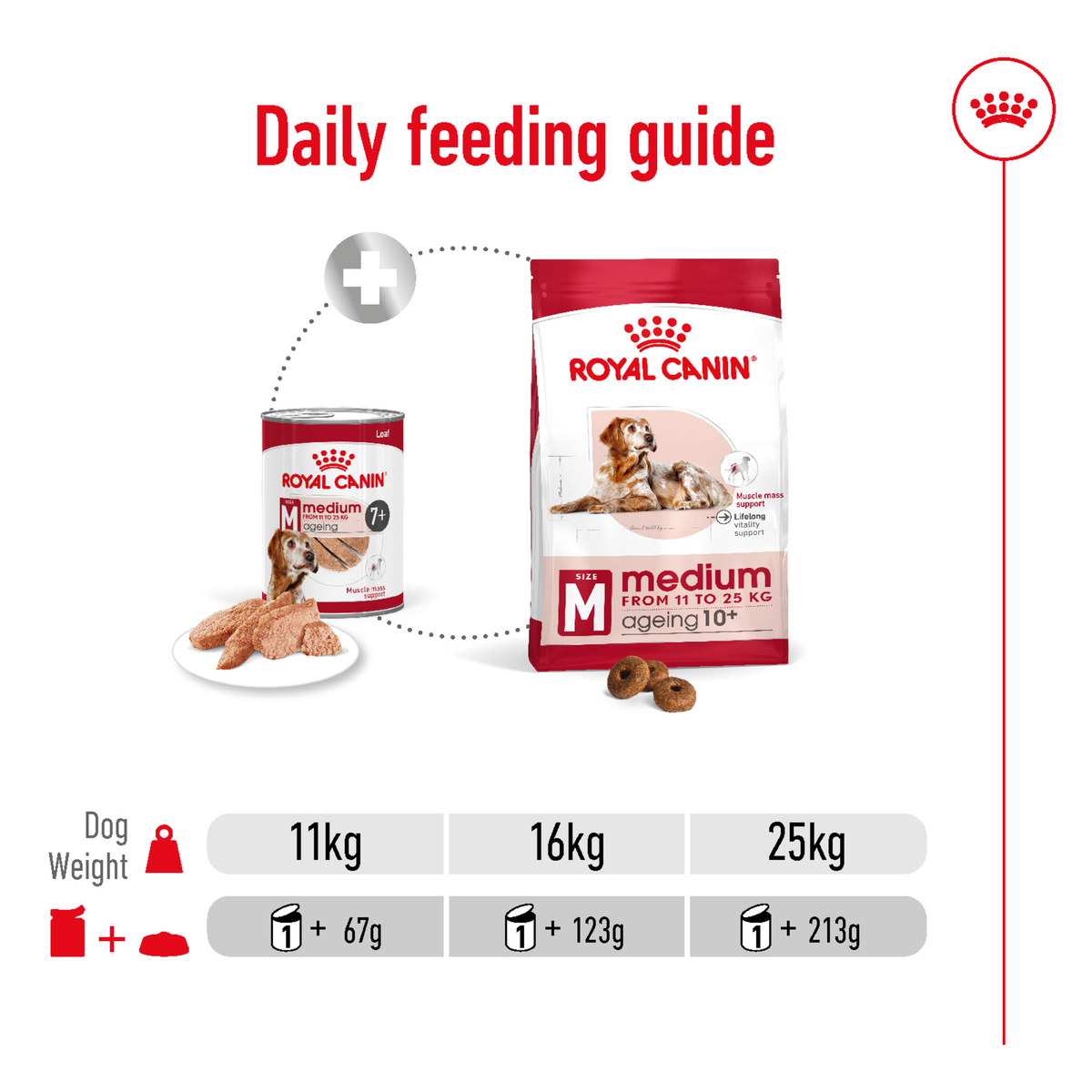 Royal Canin Medium Ageing 7+ daily feeding guide for 11kg, 16kg and 25kg dogs