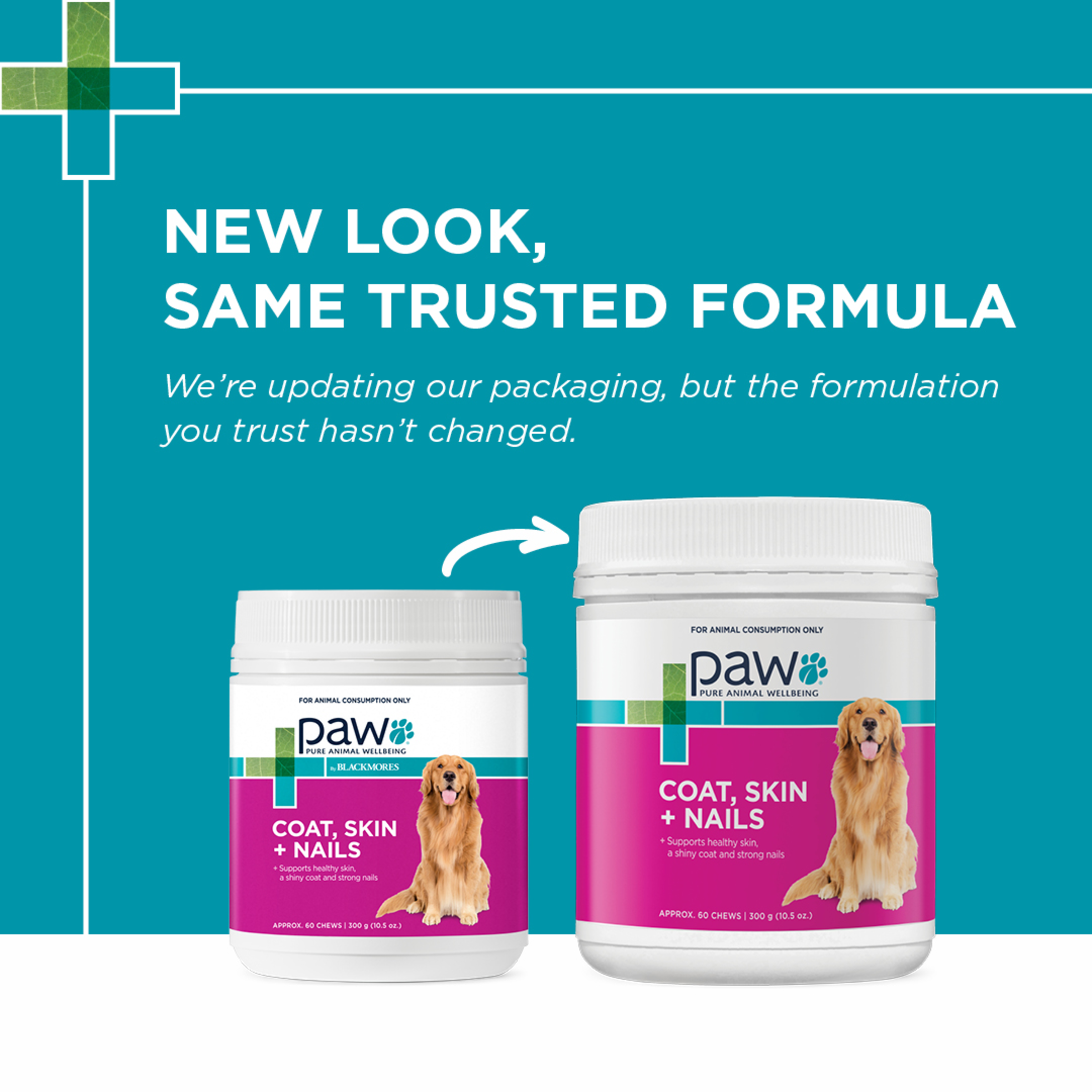 PAW by Blackmores Coat, Skin + Nails Multivitamin Chews product detail 1