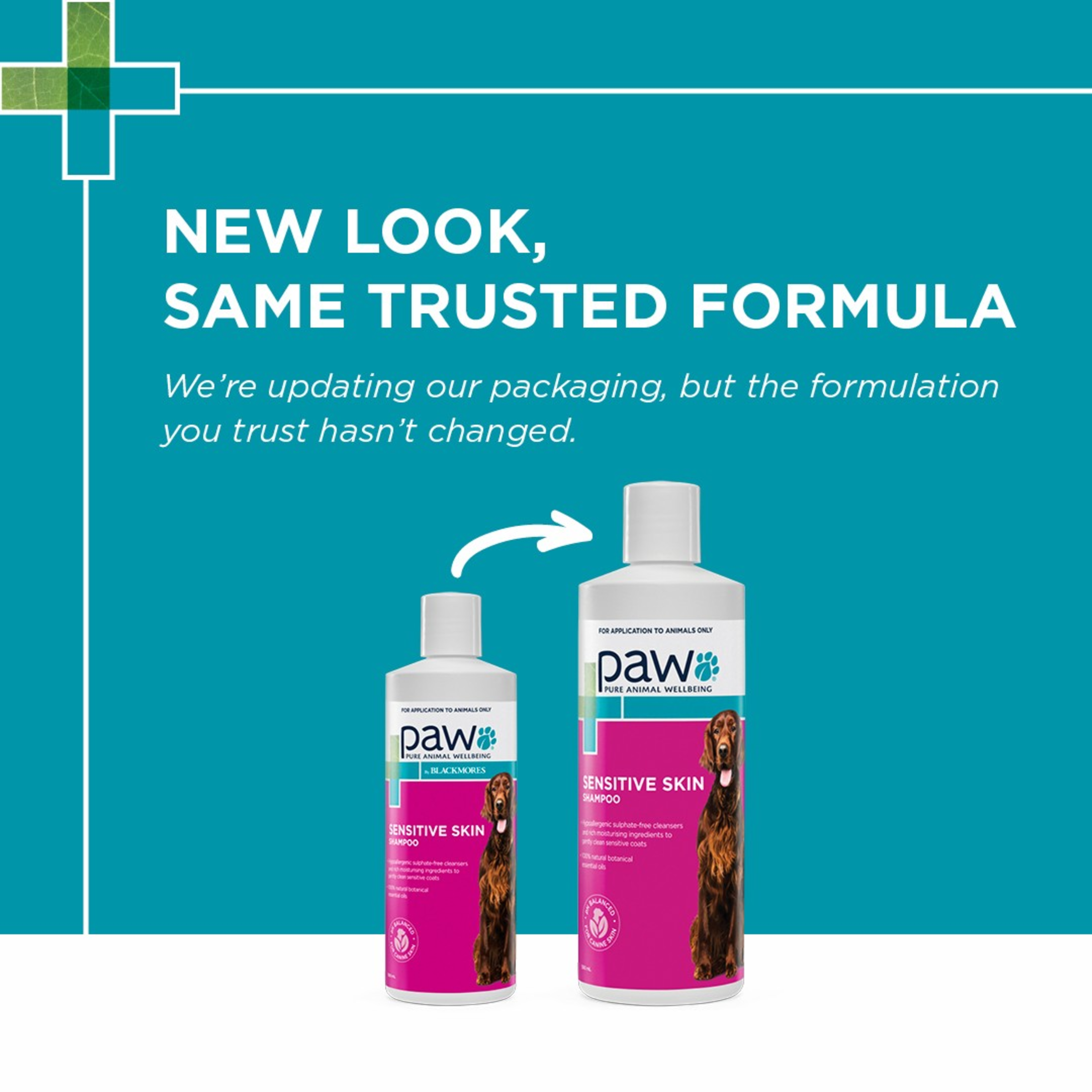 PAW by Blackmores Sensitive Skin Shampoo for Dogs product detail 1