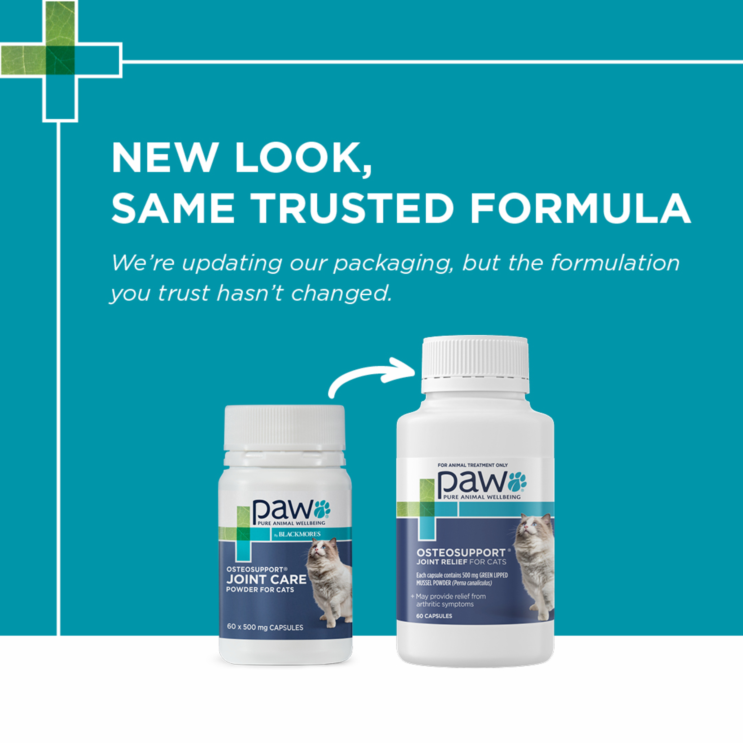 PAW by Blackmores OsteoSupport Joint Care Powder for Cats product detail 1