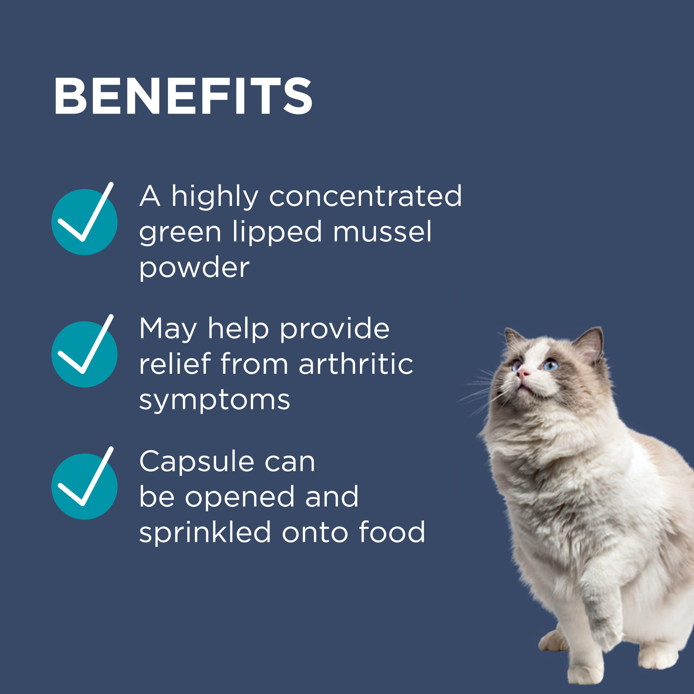 PAW by Blackmores OsteoSupport Joint Care Powder for Cats product detail 2
