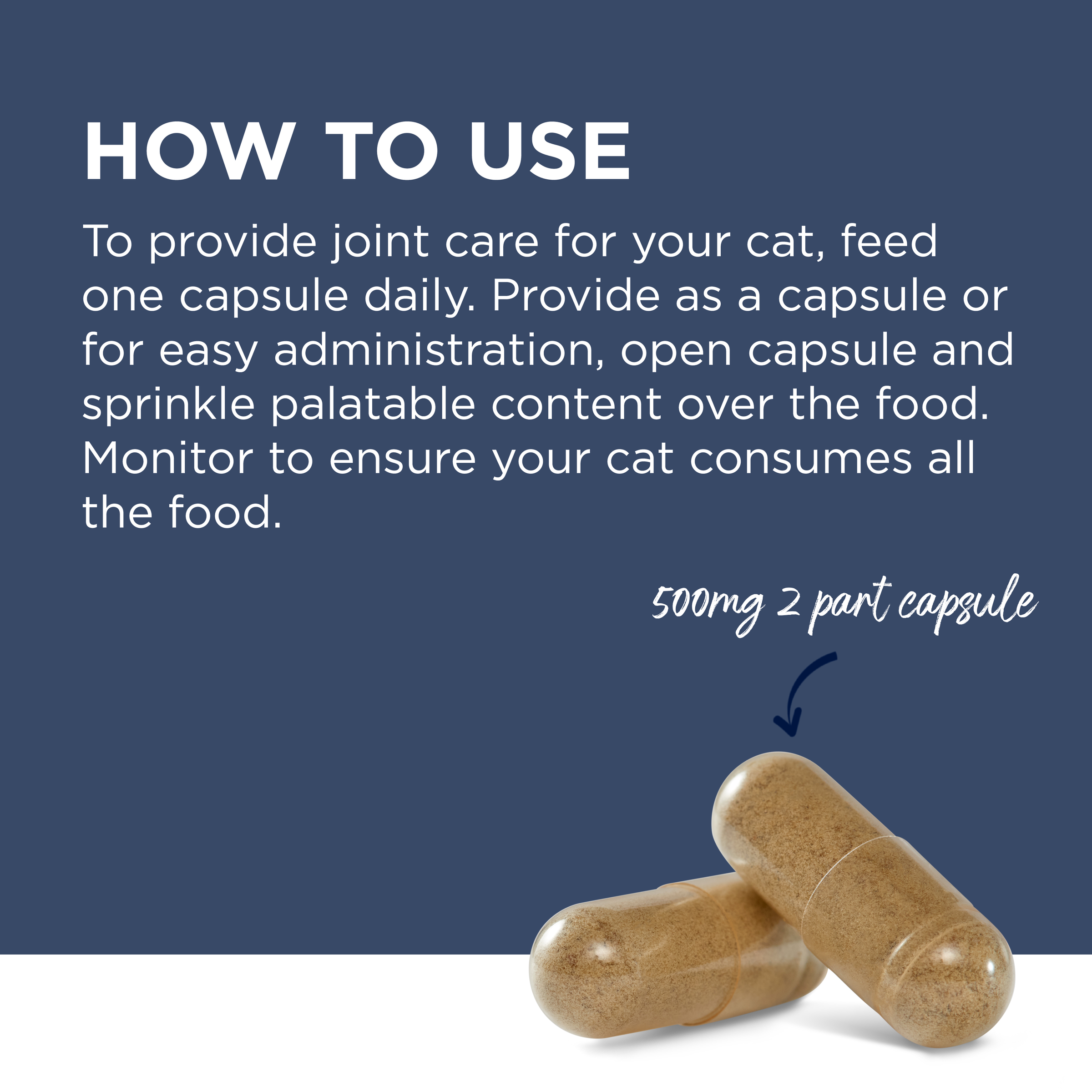 PAW by Blackmores OsteoSupport Joint Care Powder for Cats product detail 3