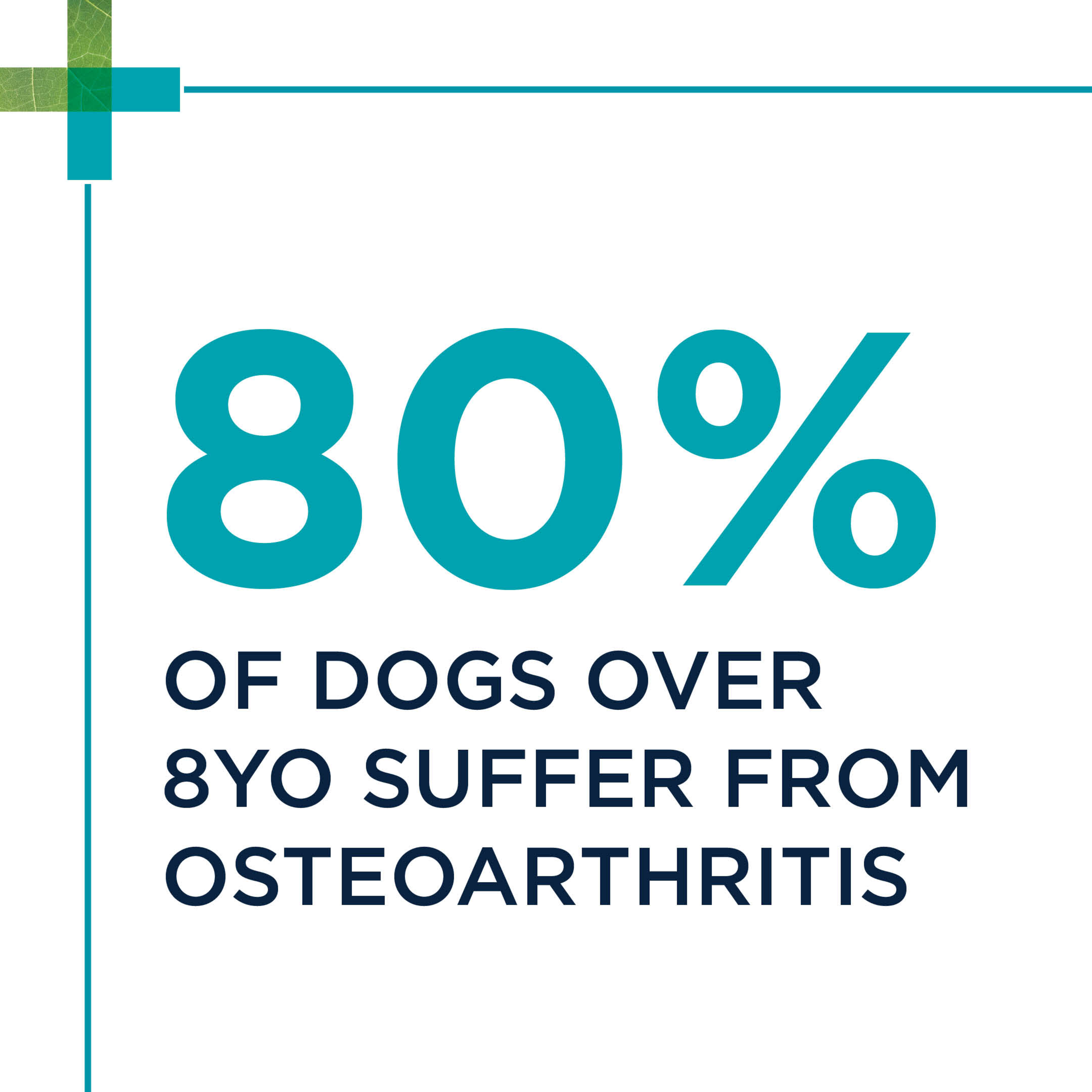 PAW OsteoAdvanced claim slide about the share of dogs over eight years old with osteoarthritis