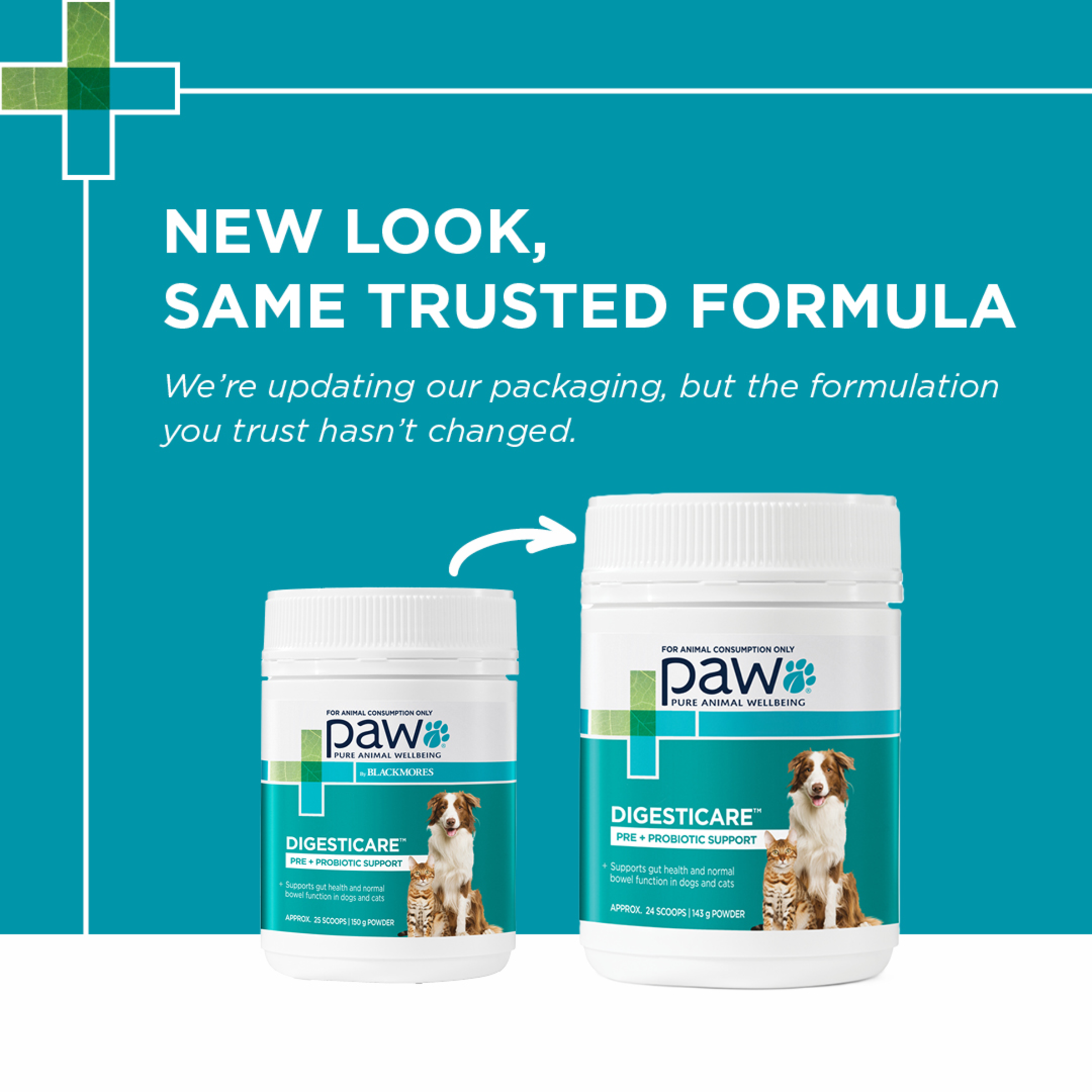 Paw By Blackmores DigesticCare for Cats and Dogs product detail 1