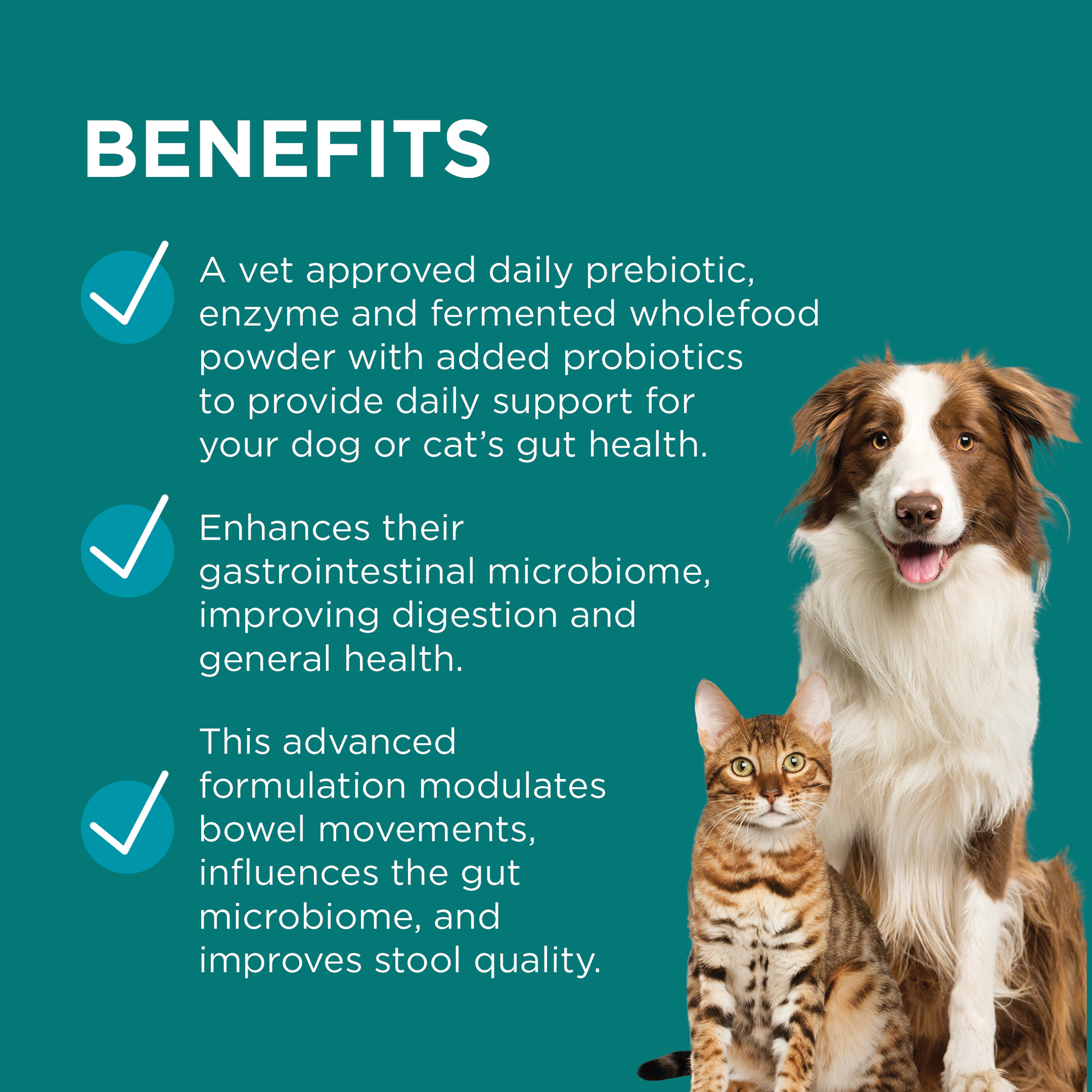 PAW DigestiCare benefits panel: gut health and digestion support, with a dog and a cat