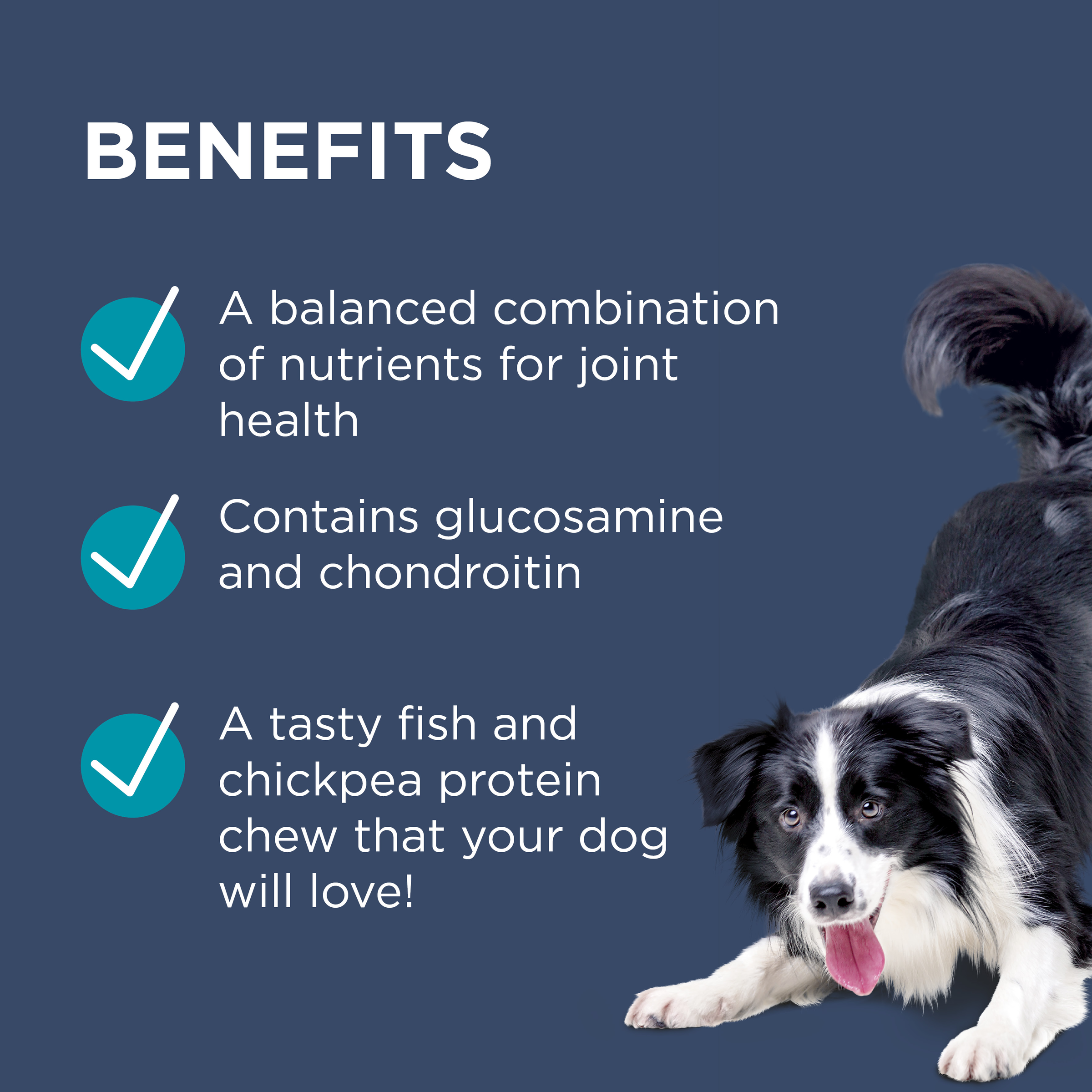 PAW OsteoCare benefits panel: joint nutrients, glucosamine and chondroitin, with a border collie