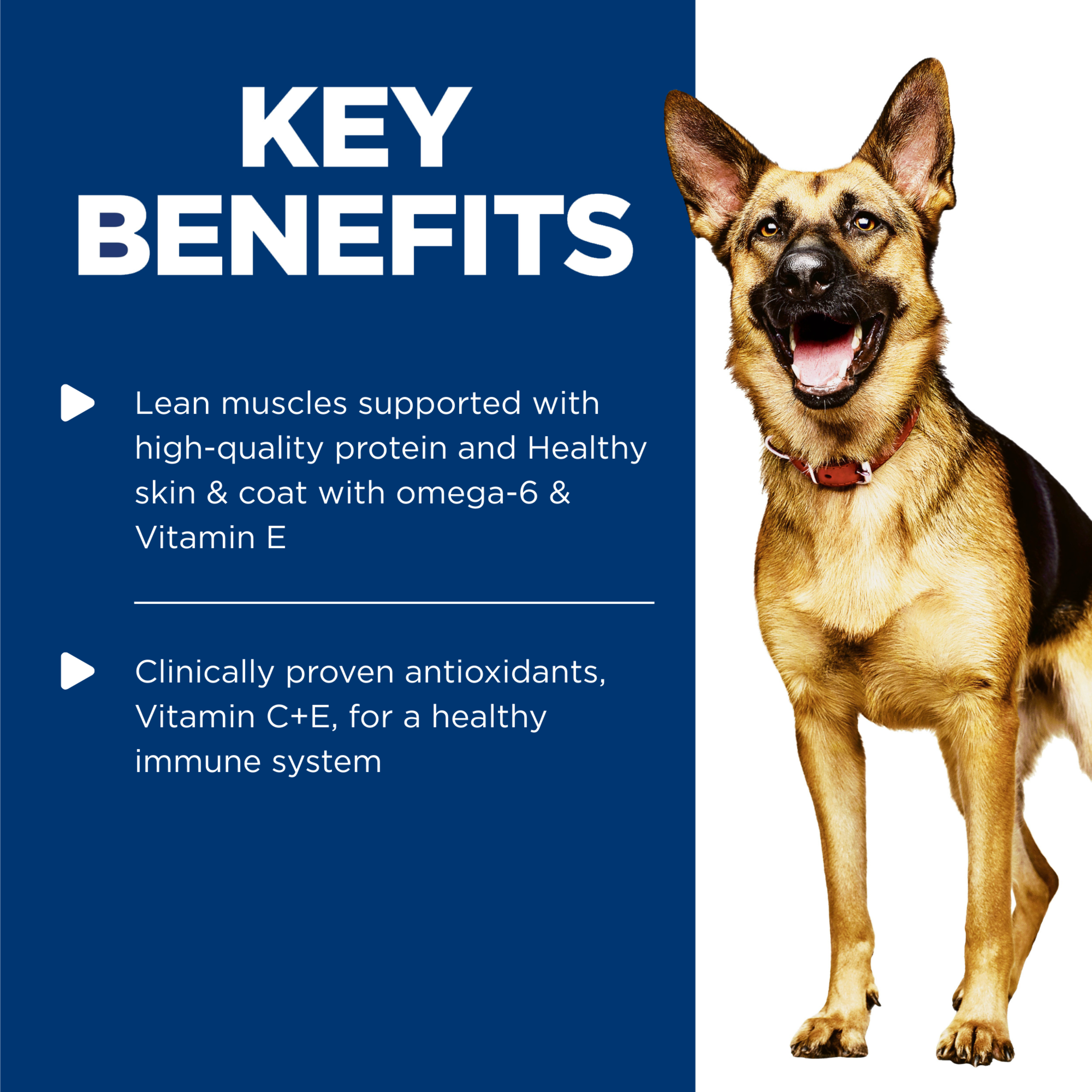 Hill's Science Diet Dry Dog Food Adult Active product detail 1