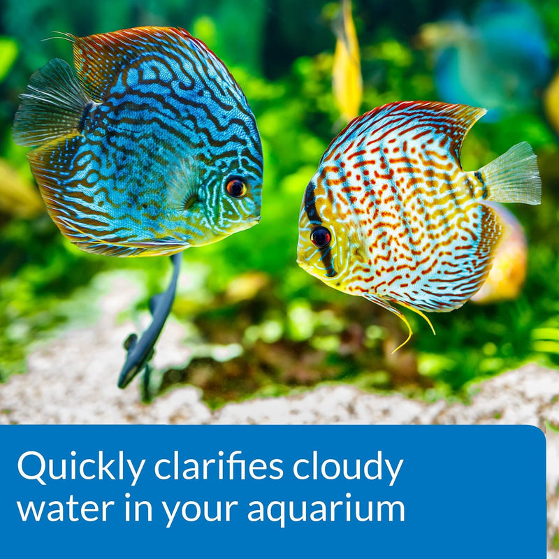 API Accu Clear Freshwater Aquarium Clarifier