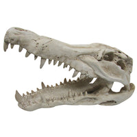 URS Croc Skull terrarium ornament, resin crocodile skull with open jaws, side view