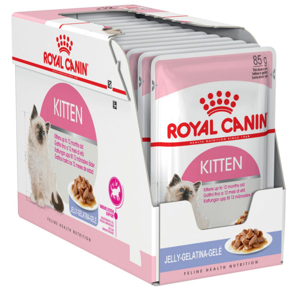 Royal Canin Wet Cat Food Kitten Jelly