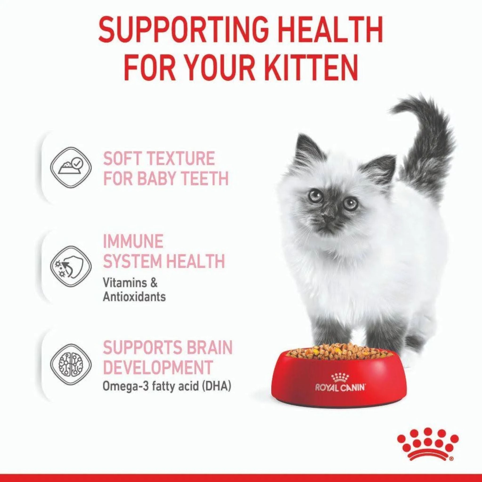 Royal Canin Kitten Jelly 85gx12 Pouches | PeekAPaw