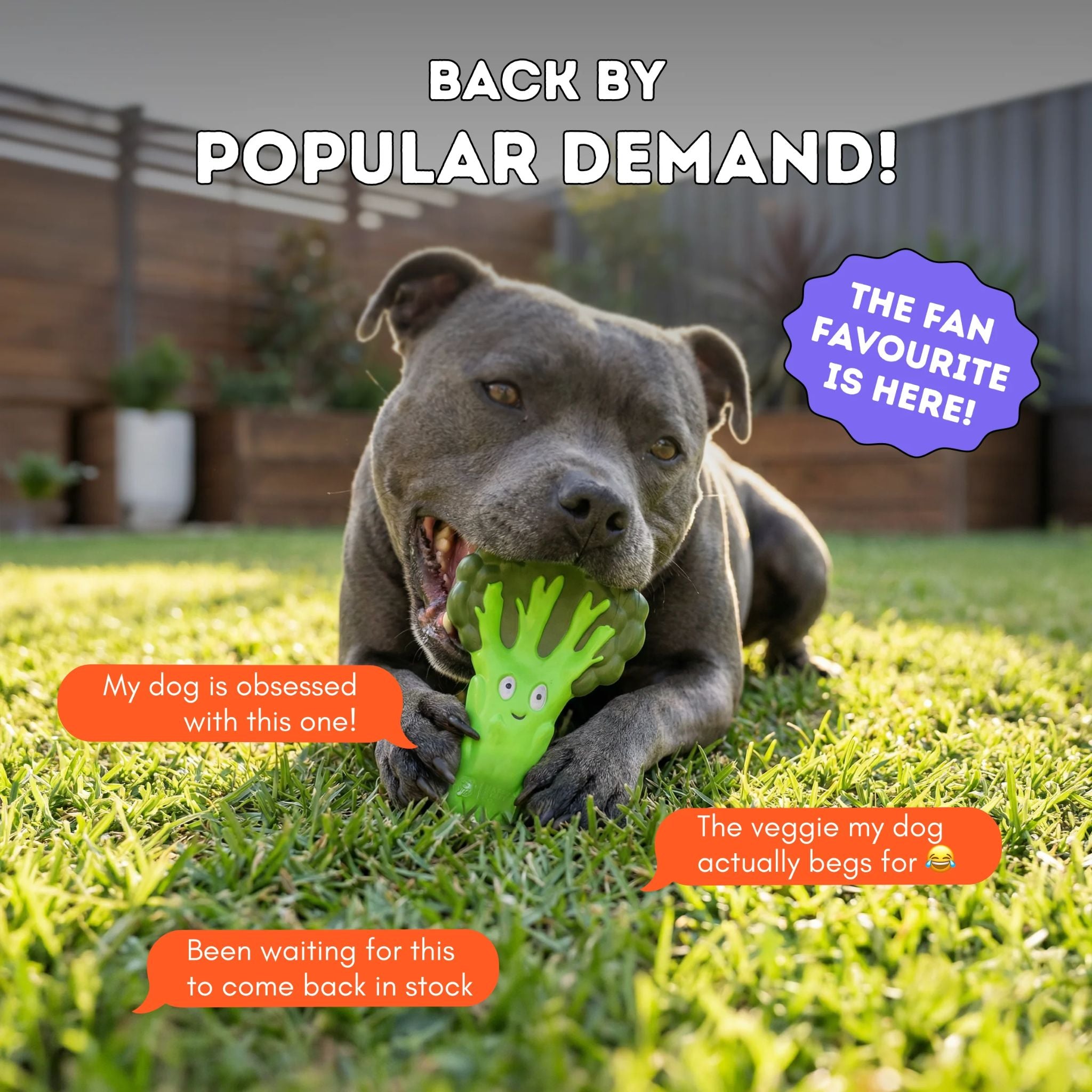 Happy Staffy Co Broccoli Crunch Dog Toy