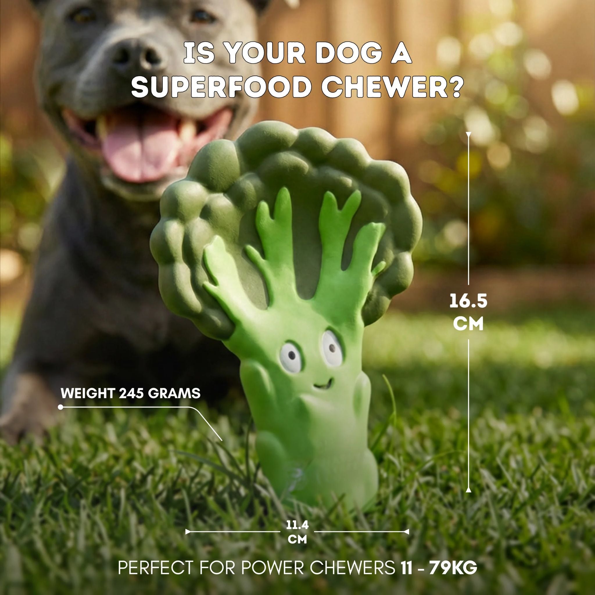 Happy Staffy Co Broccoli Crunch Dog Toy