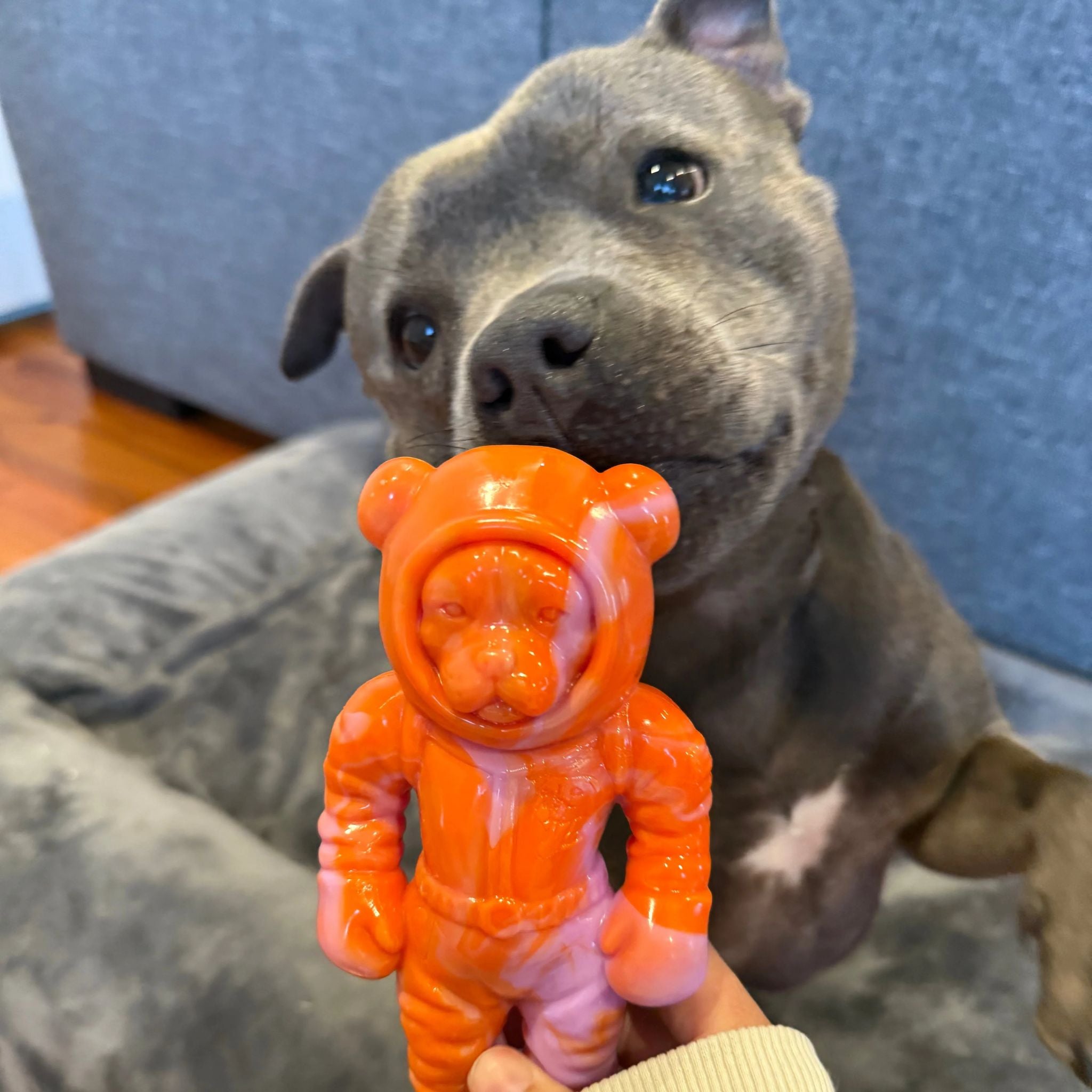 Happy Staffy Co Astro Pup Dog Toy