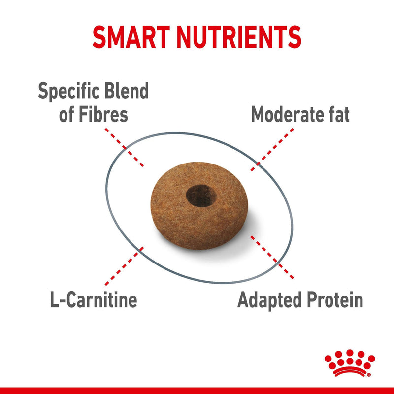 Royal Canin Appetite Control Care Dry Cat Food