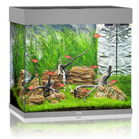 Juwel Lido 120L cubic LED aquarium with grey trim, planted and stocked with red fish