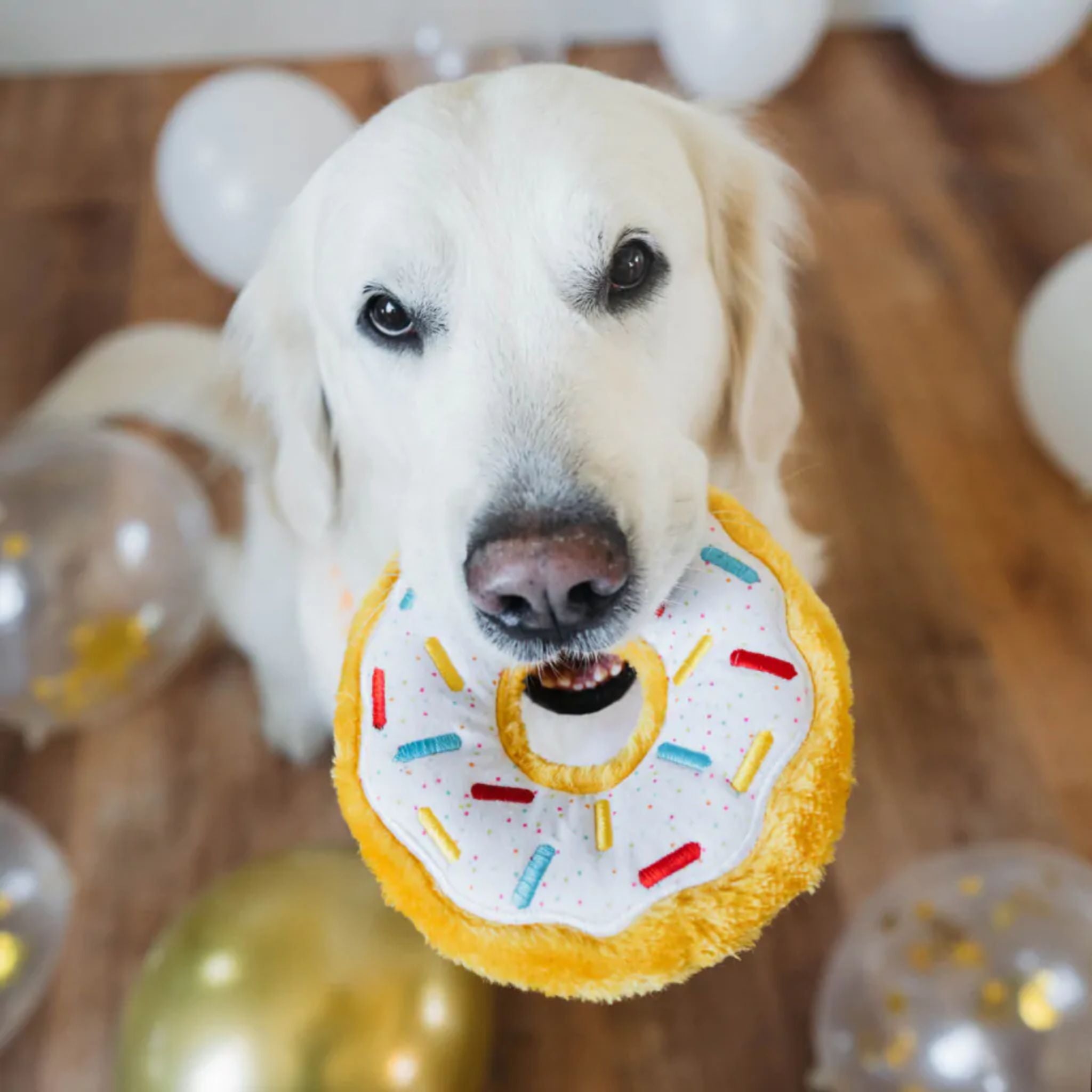 Zippy Paws Dog Toys Plush Birthday Donutz