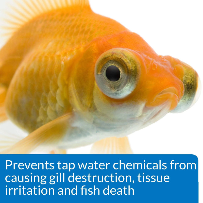 API Goldfish Success Pack Goldfish Protect Aquarium Cleaner