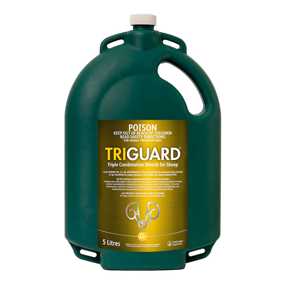 Triguard Triple Combination Drench for Sheep 5 L container, front label