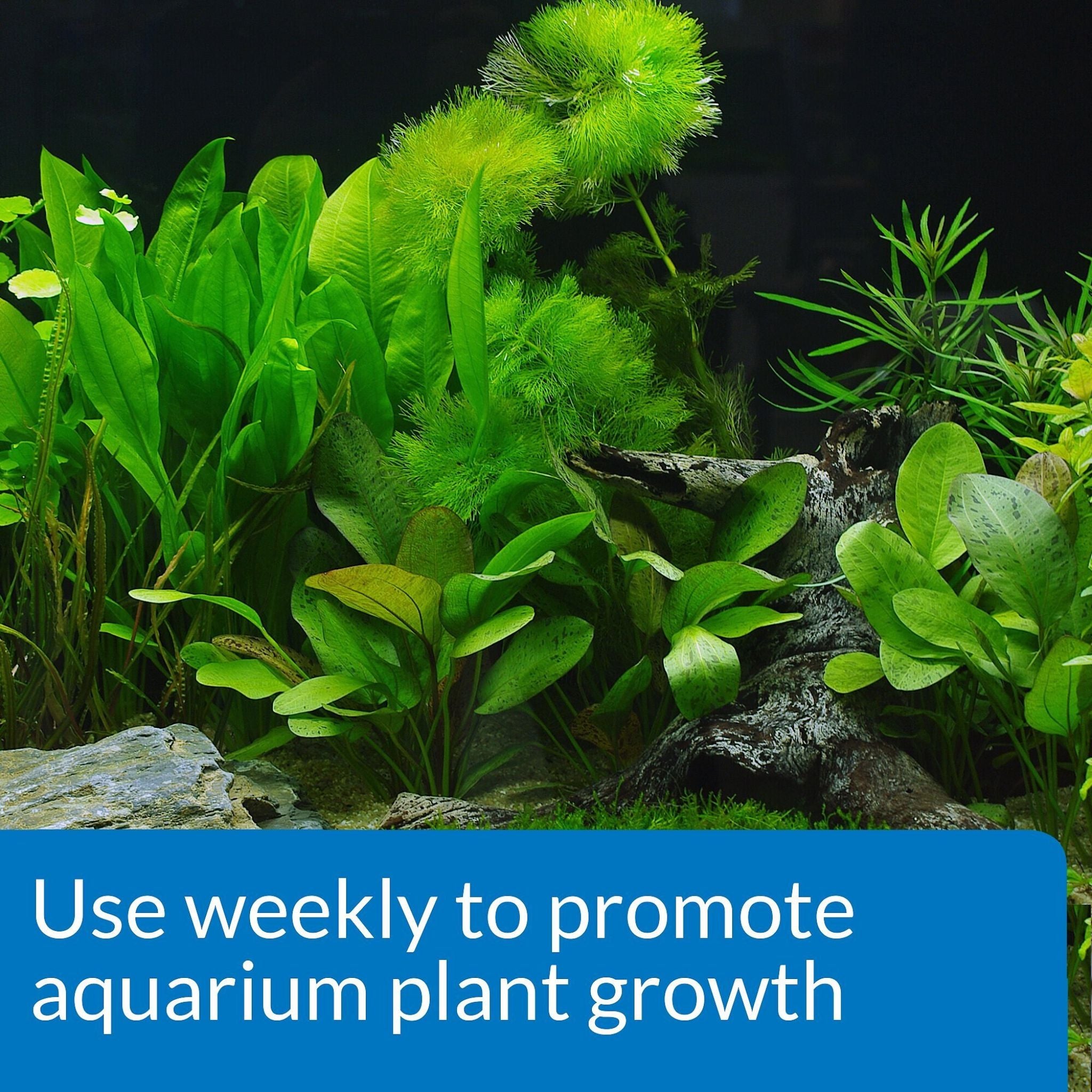 API Leaf Zone Freshwater Aquarium Plant Fertiliser