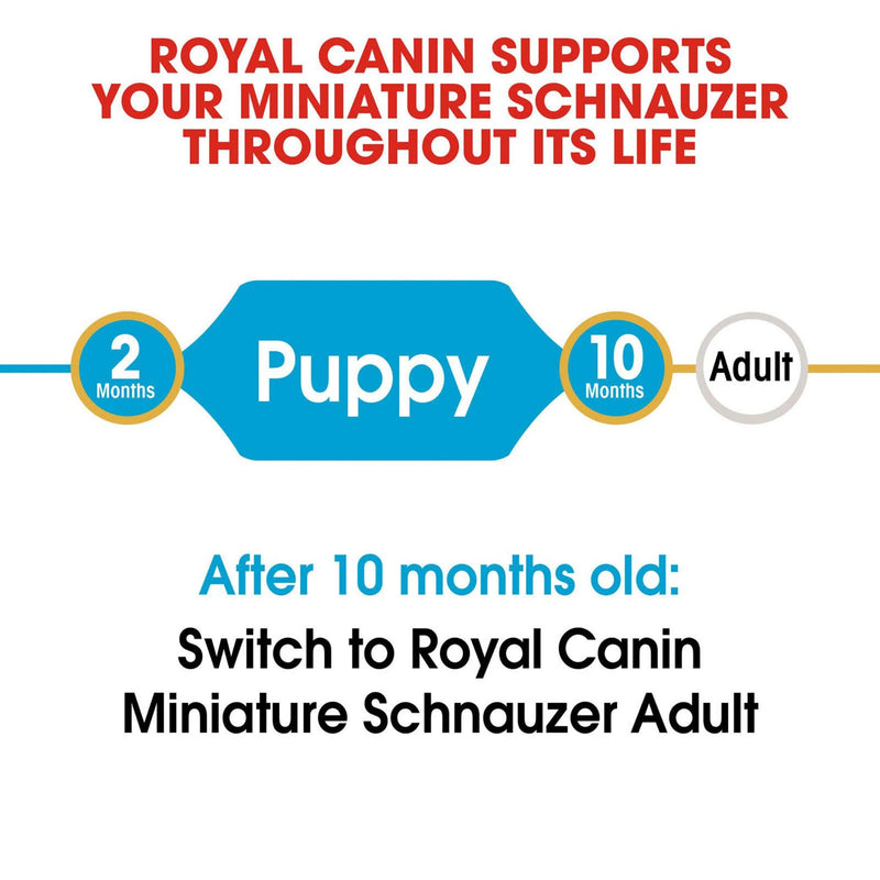 Royal Canin Miniature Schnauzer Puppy