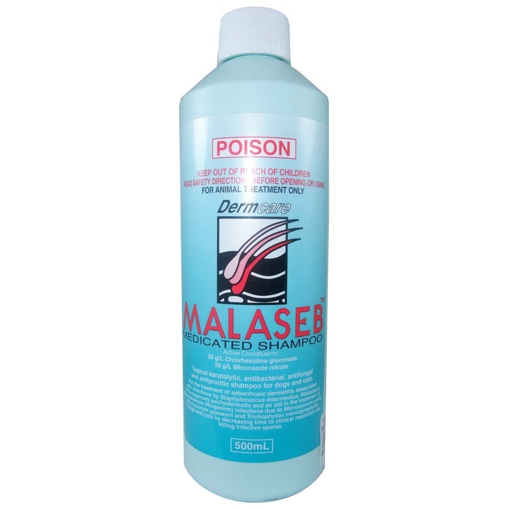 Dermcare Malaseb Medicated Shampoo 500ml bottle, current white label, front