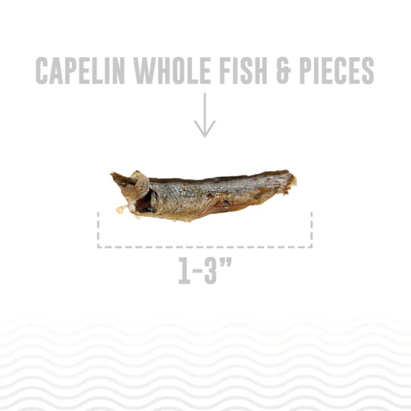 Icelandic+ Dog Treats Capelin Whole Fish