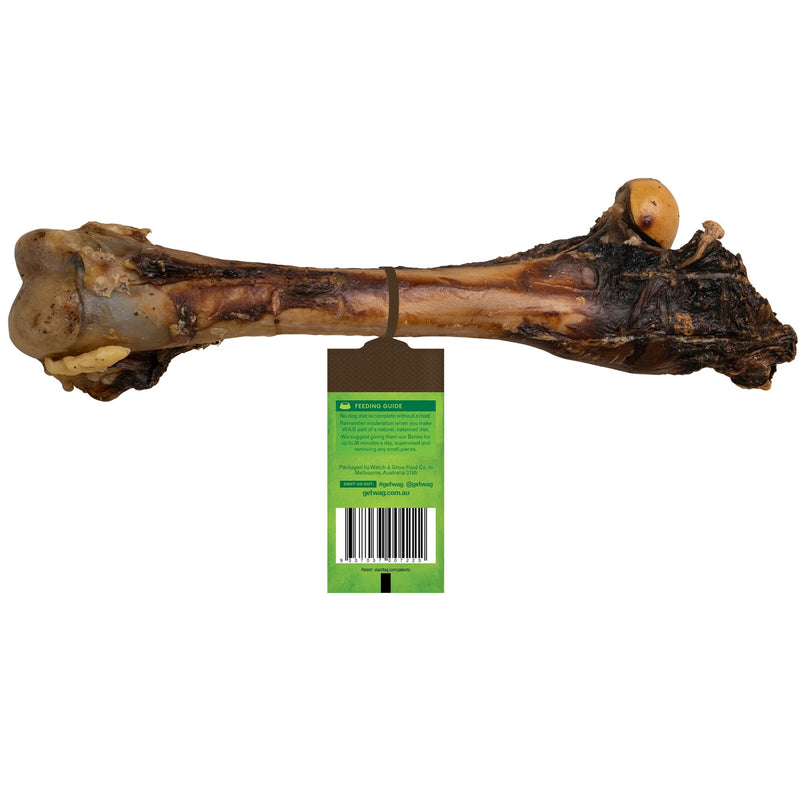 WAG Kangaroo Large Bone 1- Pack| PeekAPaw Pet Supplies