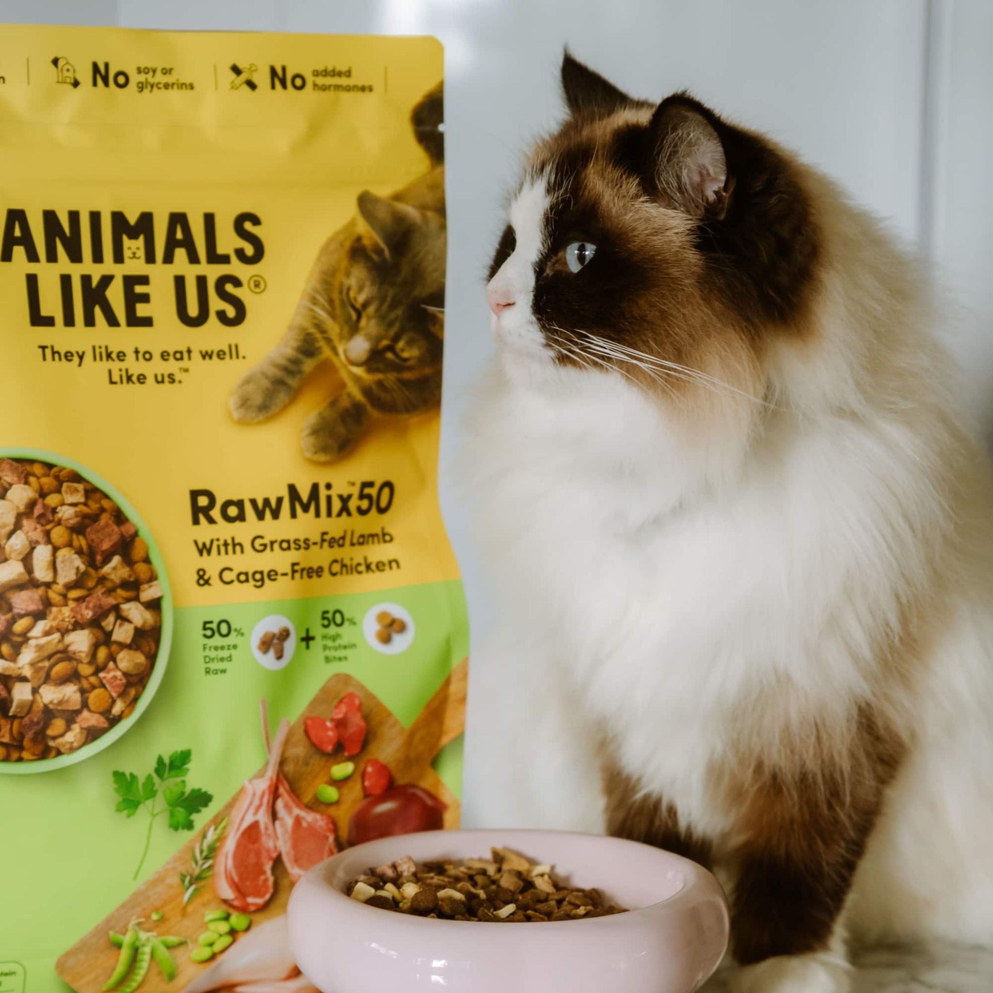 Animals Like Us Cat Food Rawmix50 Lamb and Chicken